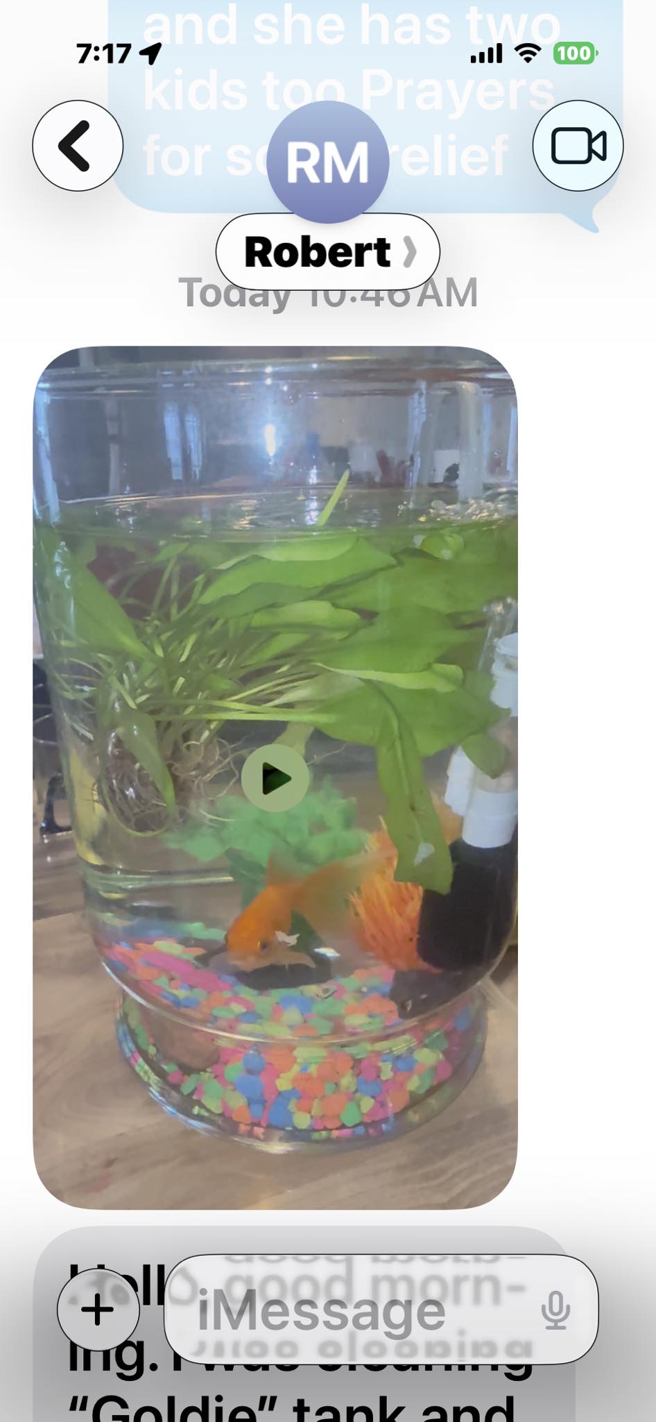 Constantine Karate Academy