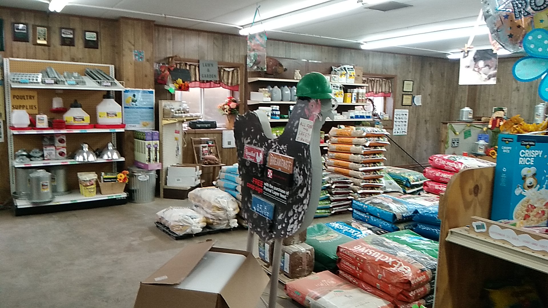 Michiana Feed Constantine