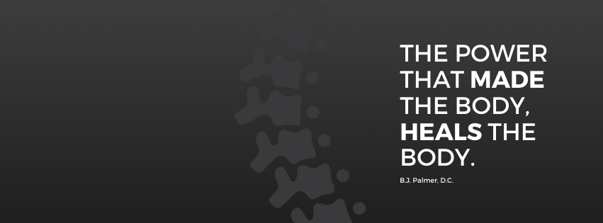 Dr. Waswick - Natural Alternatives - Chiropractic 284 Main St, Coopersville Michigan 49404