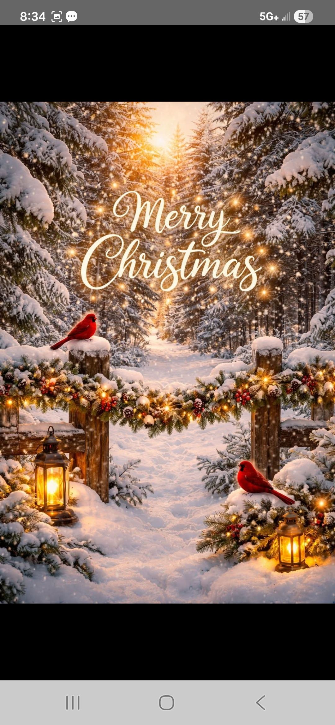 Palecki Heating & Cooling