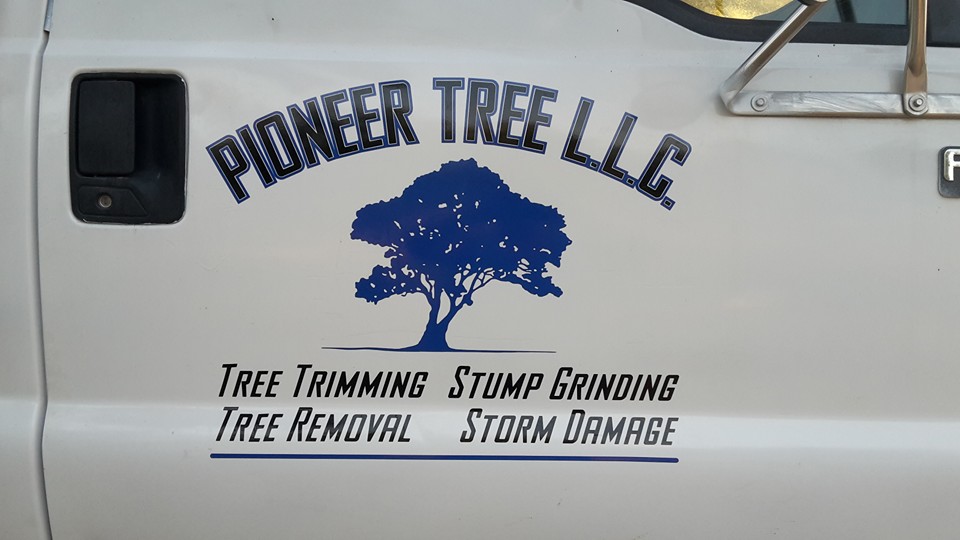 Pioneer Tree L.L.C.