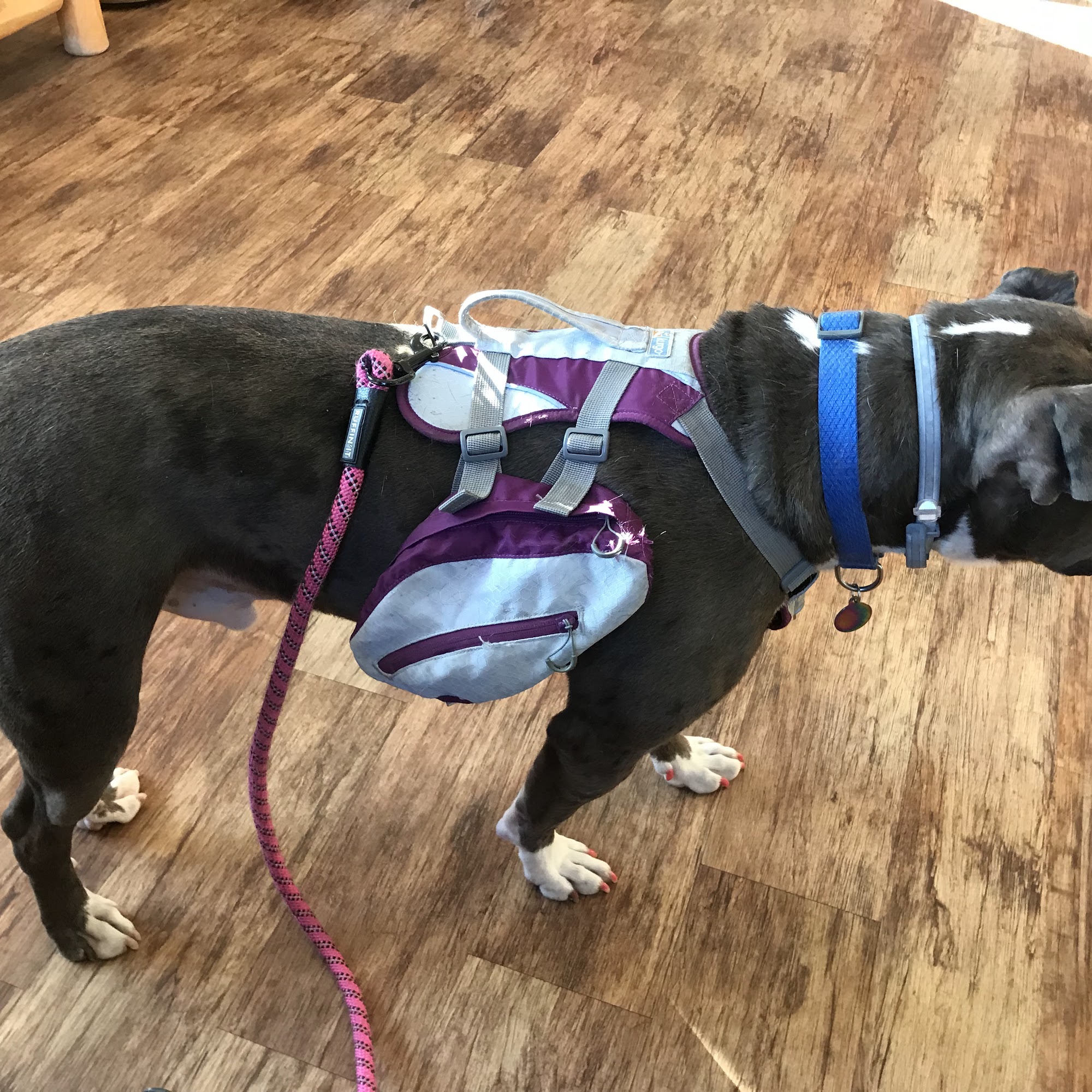 Childs Veterinary Clinic Davison