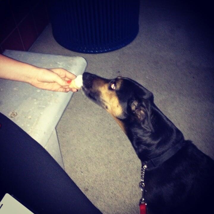 Photo credit: nextdoor