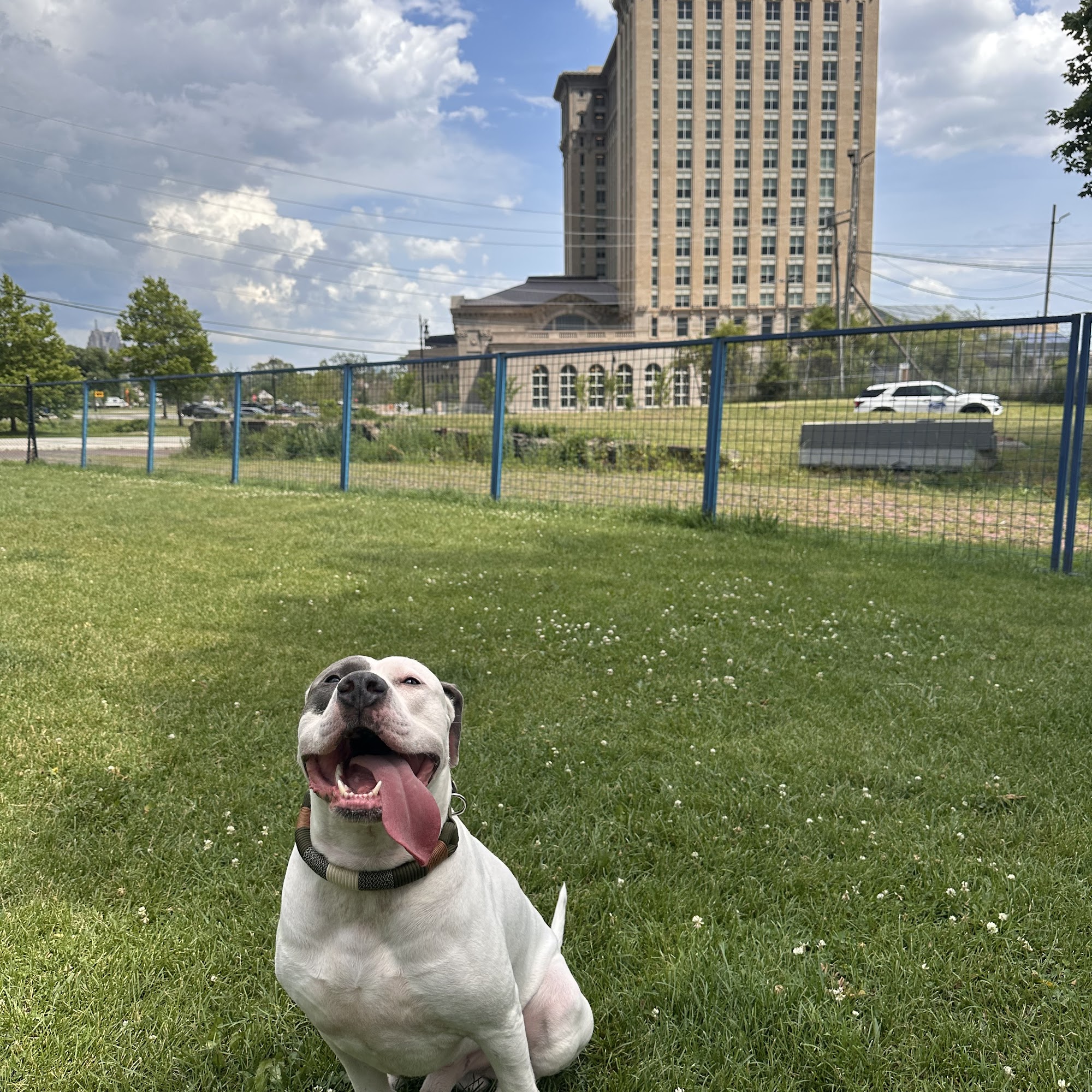 Detroit Dog Park Detroit