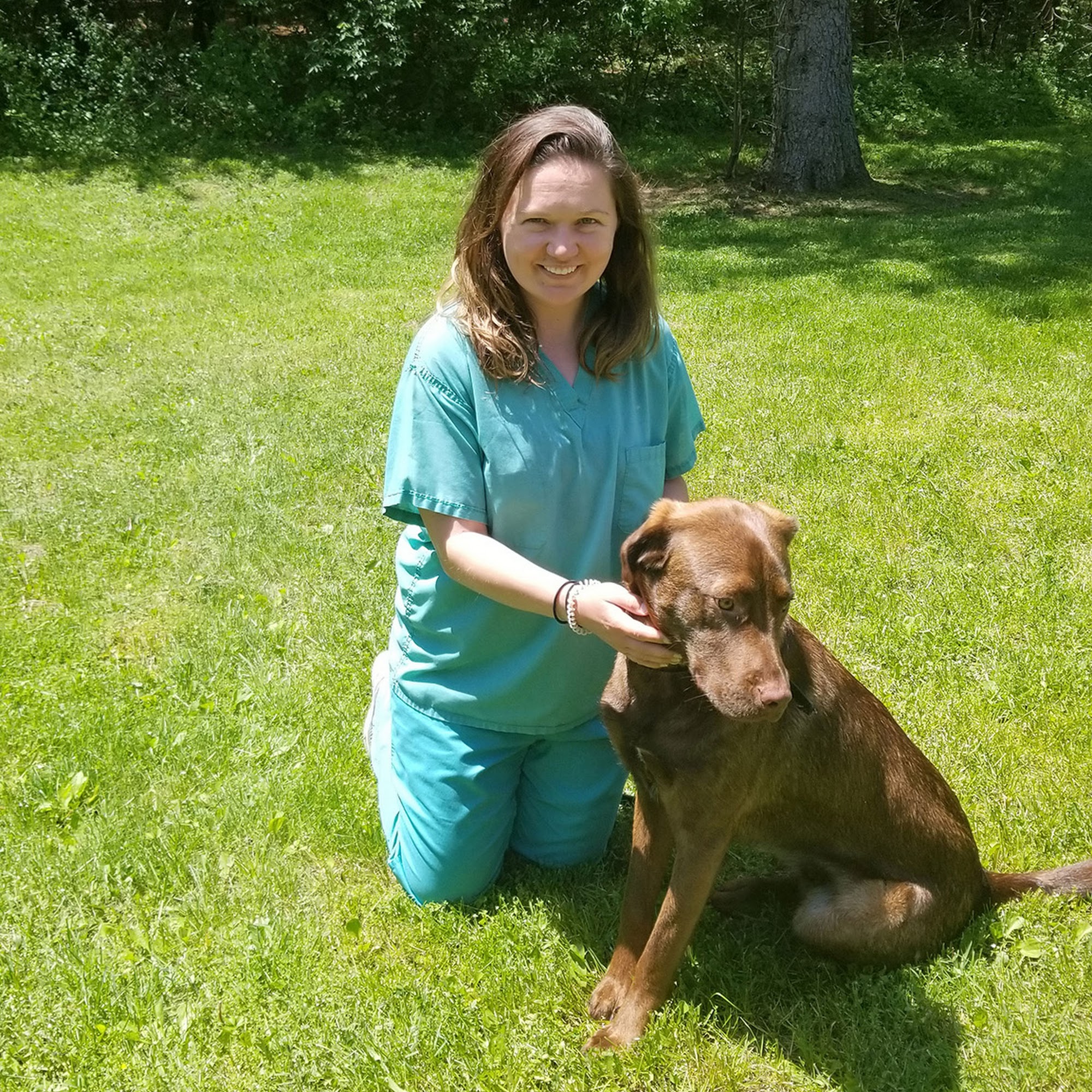 Dexter Animal Clinic Dexter