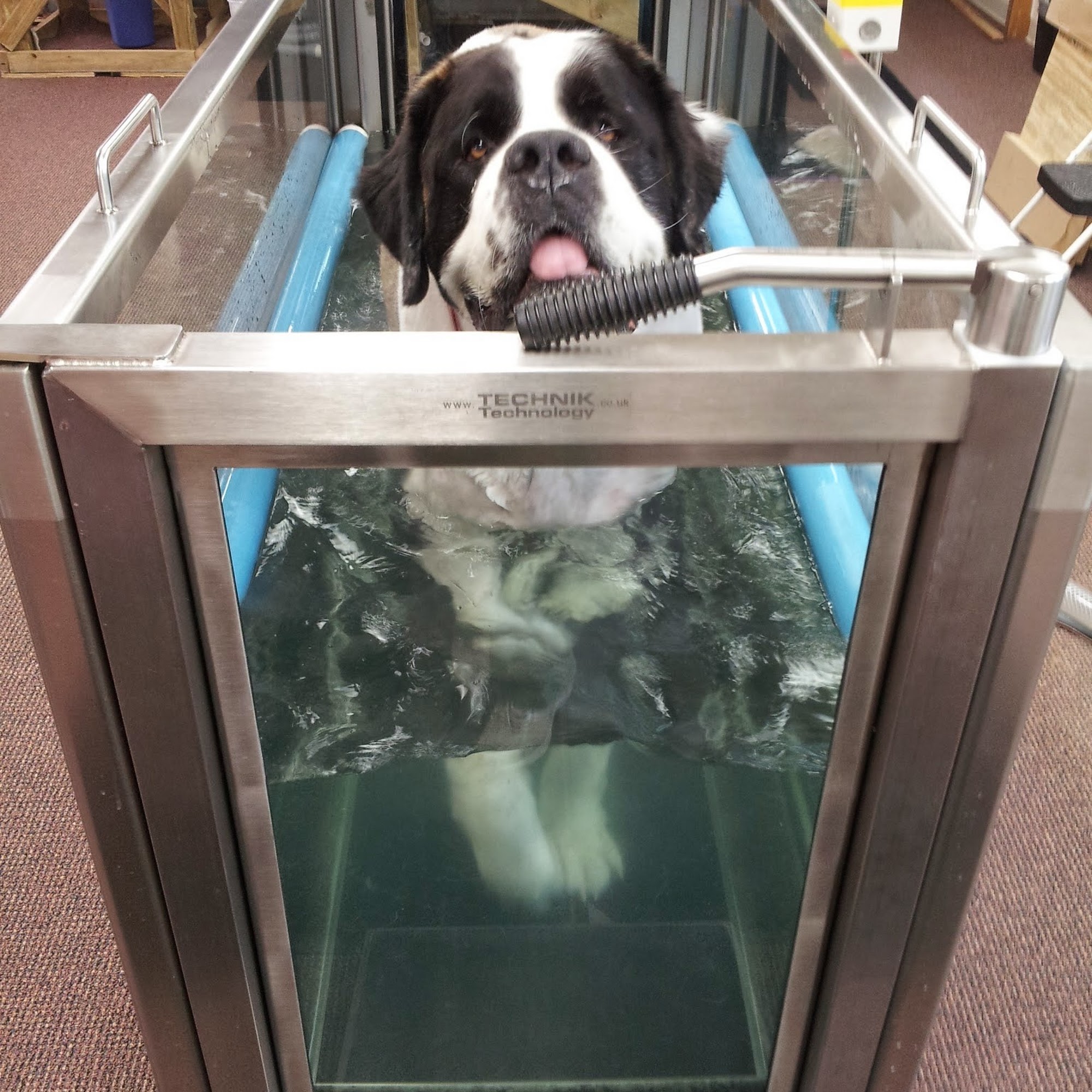 Animal Rehabilitation Facility Dexter