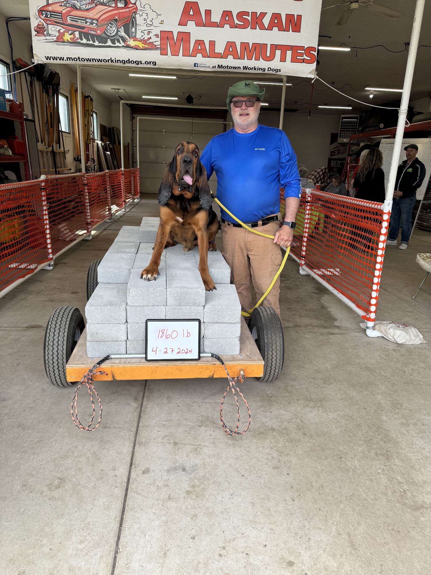 MiVet Animal Clinic Dexter