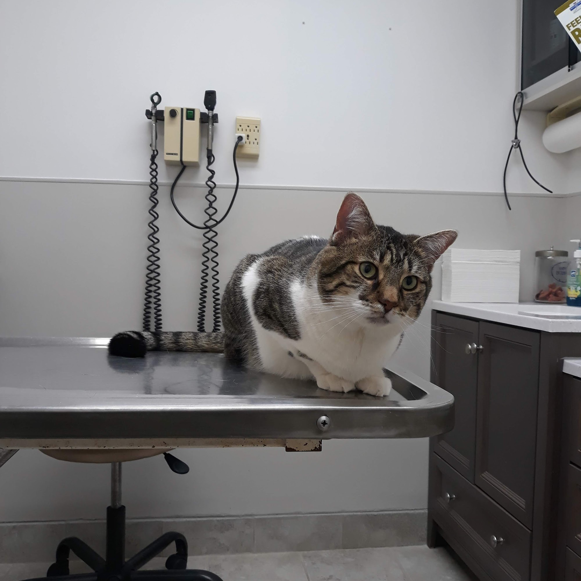 Dowagiac Animal Hospital Dowagiac