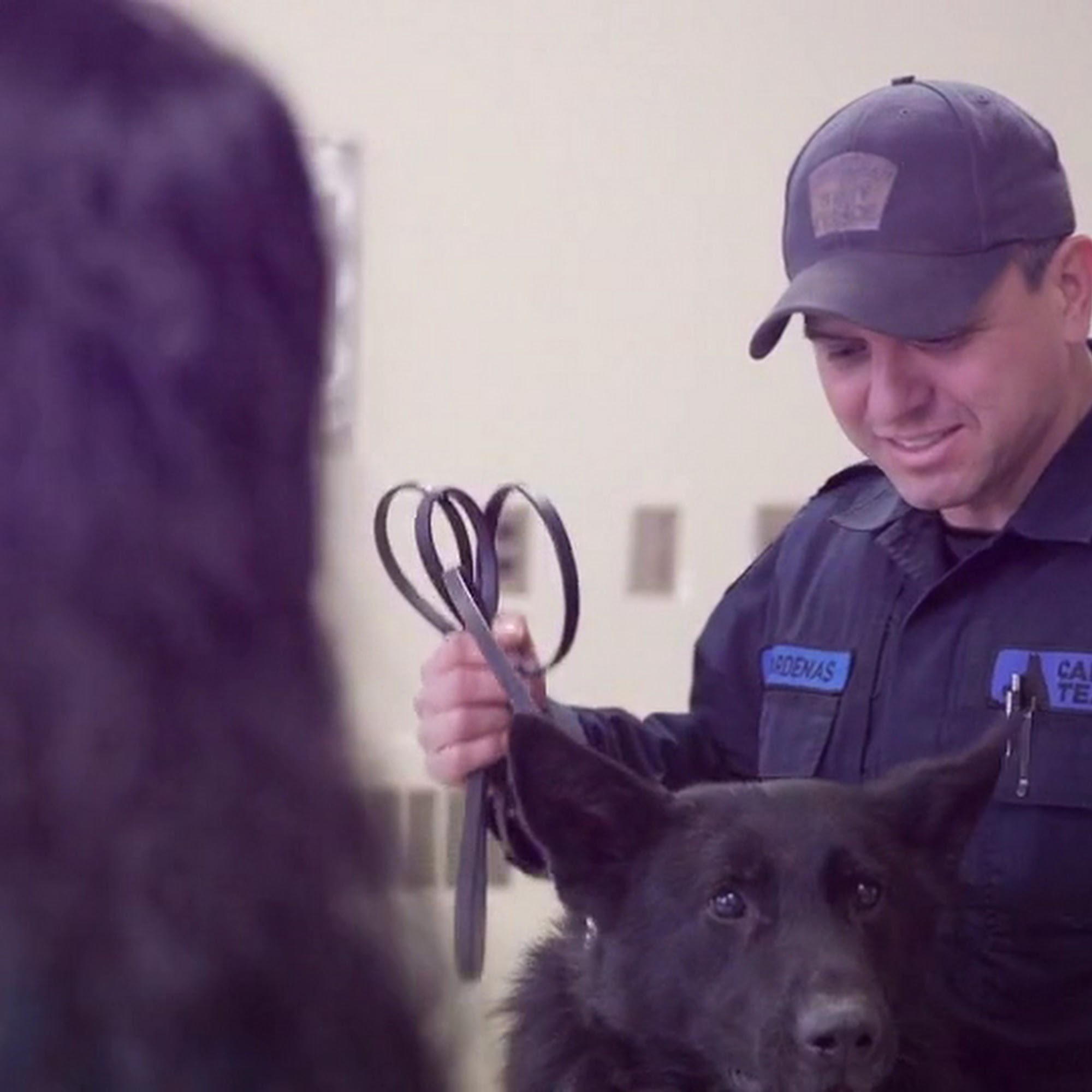 Michigan State University Veterinary Medical Center East Lansing