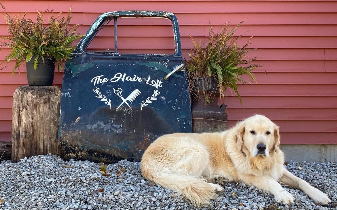 The Hair Loft Escanaba