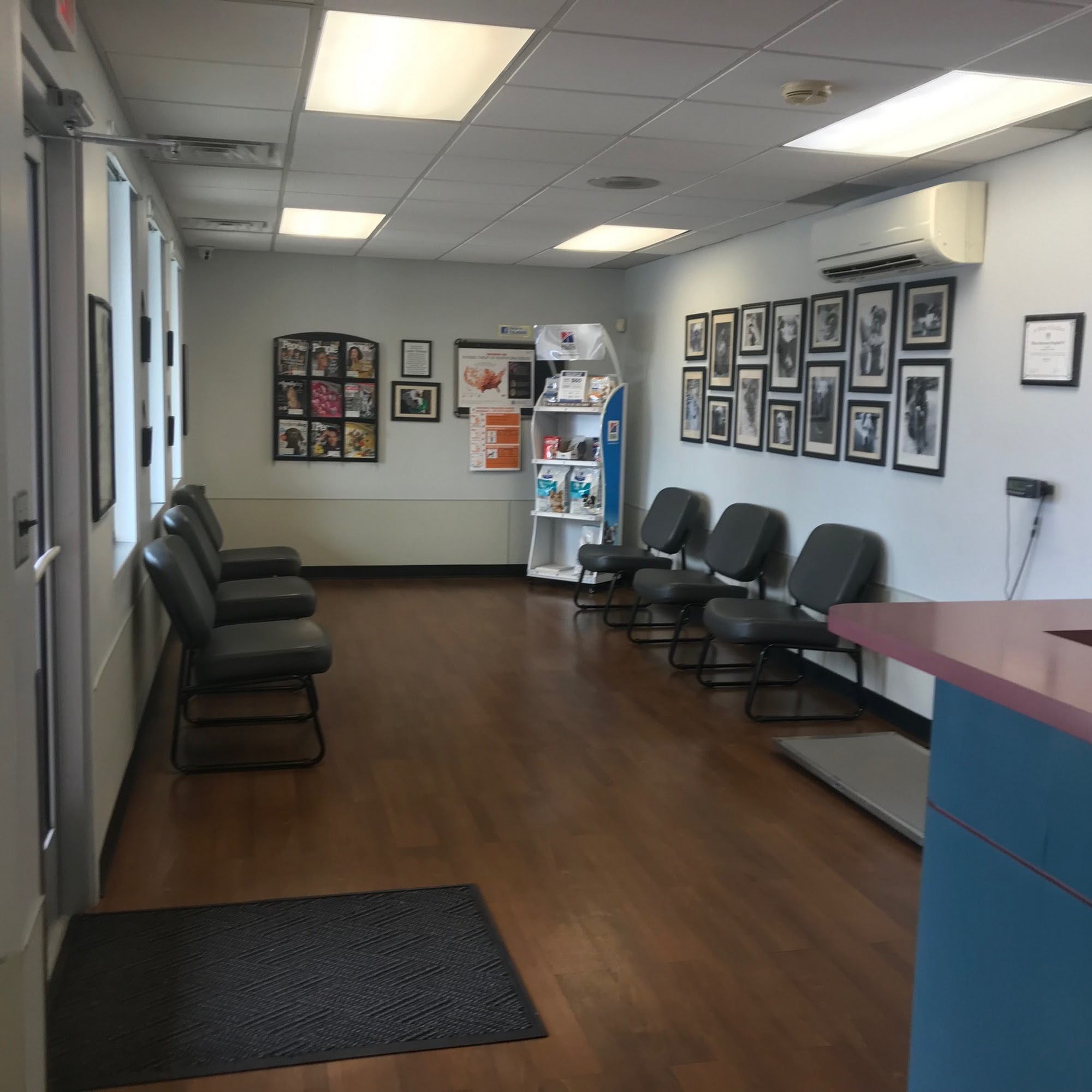 Plaza Veterinary Hospital Farmington