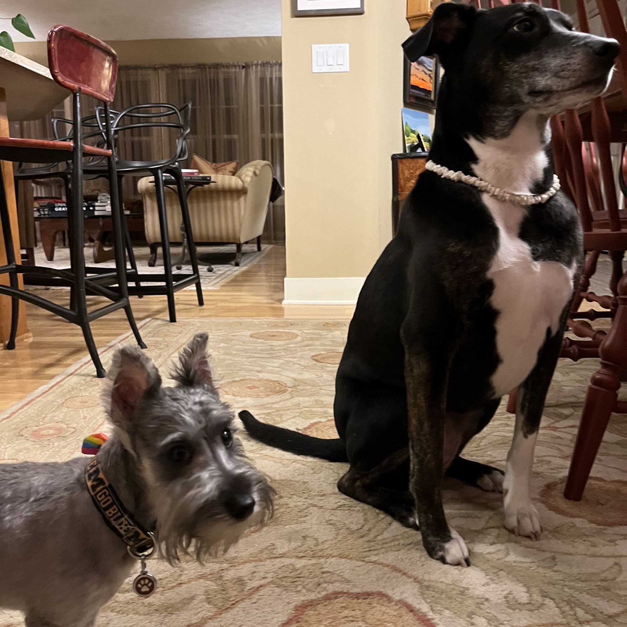 Mac's Landing Veterinary Services Fennville