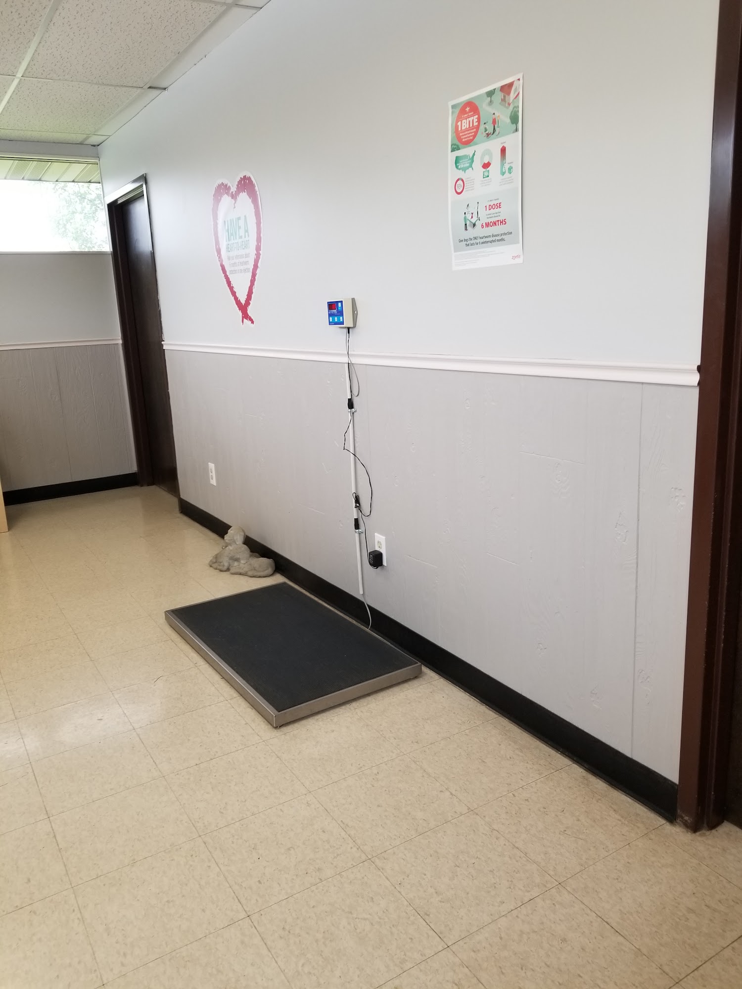 Animal Medical Clinic of Flint Flint