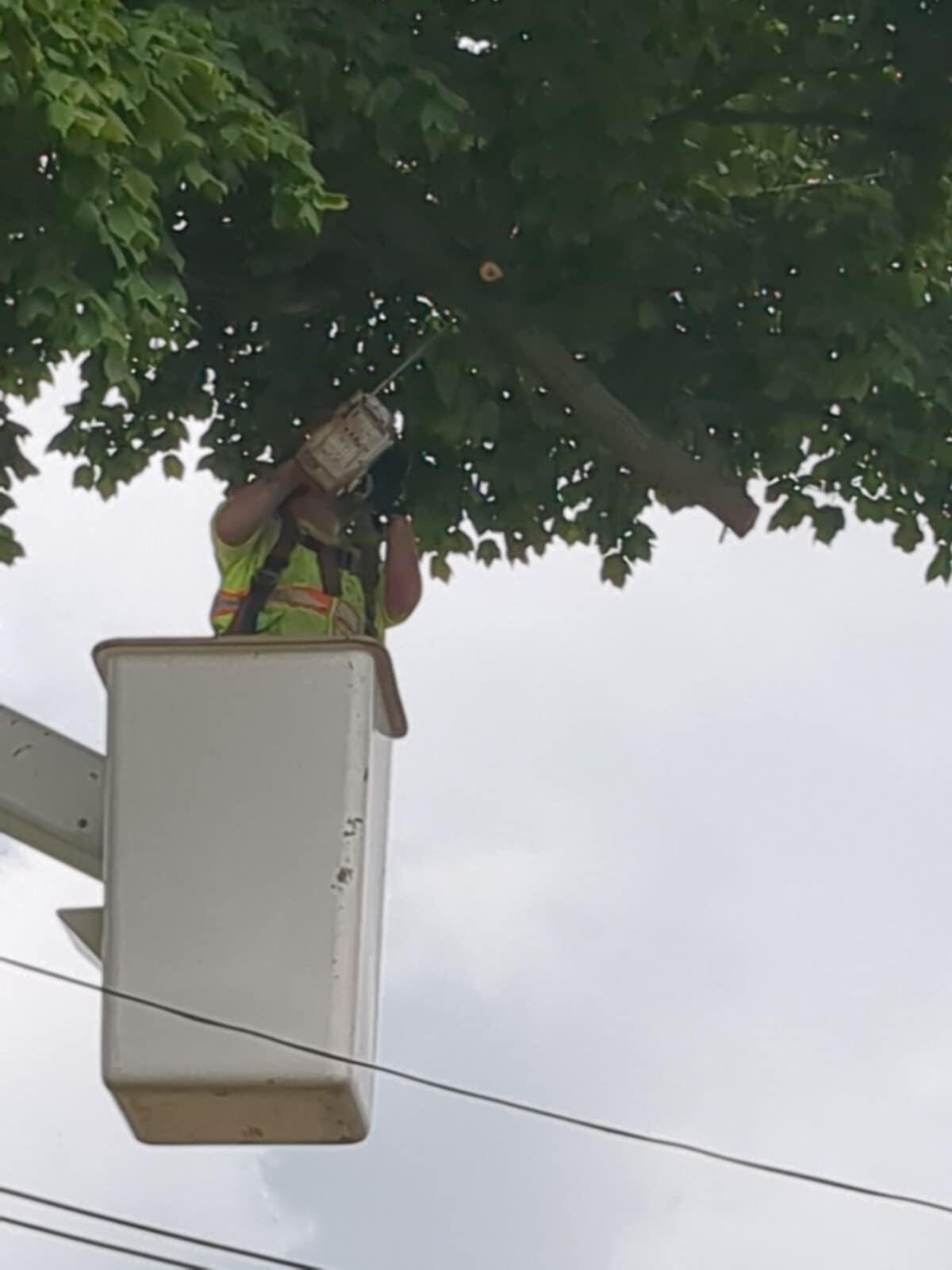 Photo credit: nextdoor