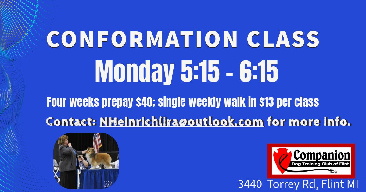 Companion Dog Training Club Flint