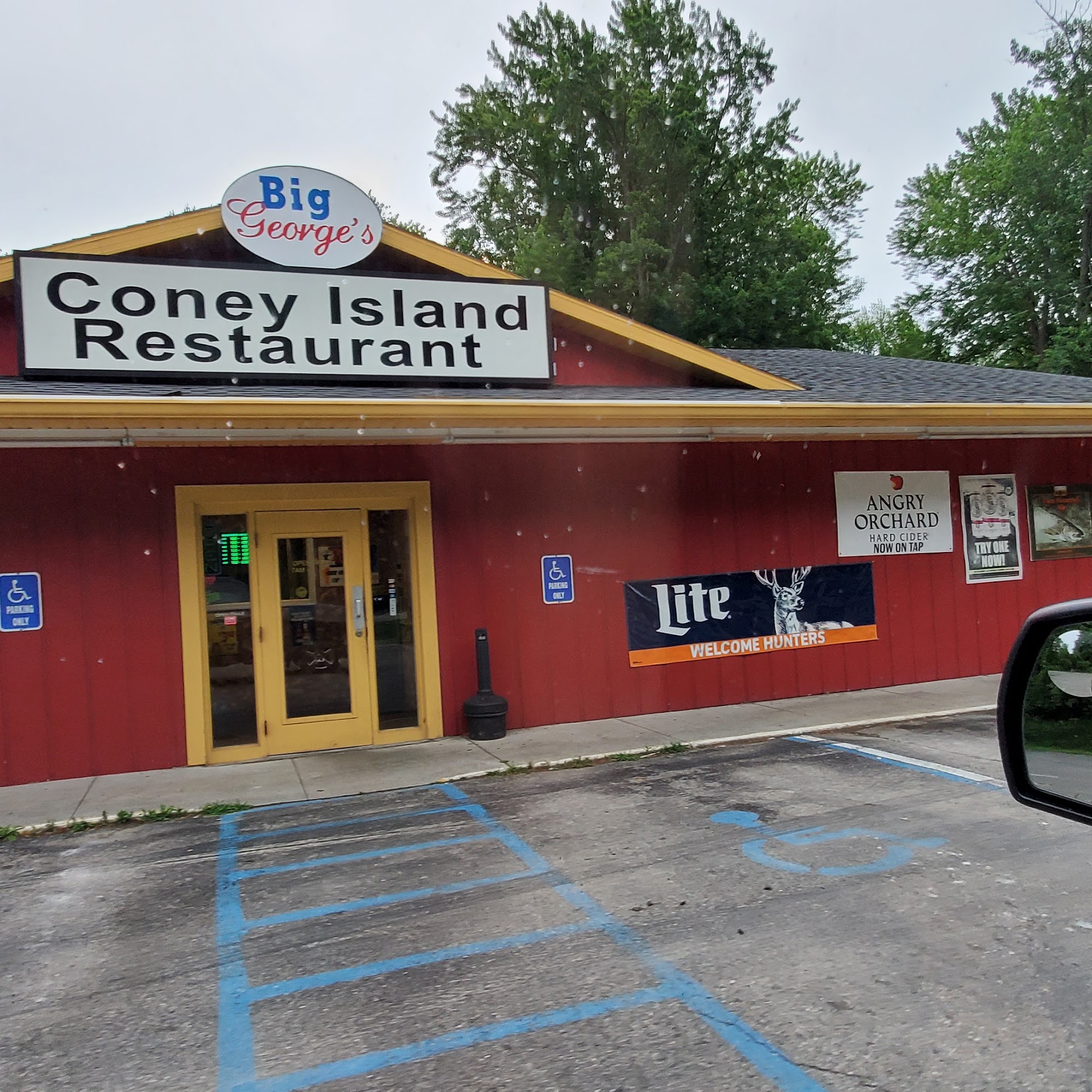 Big George's Coney Island Fort Gratiot