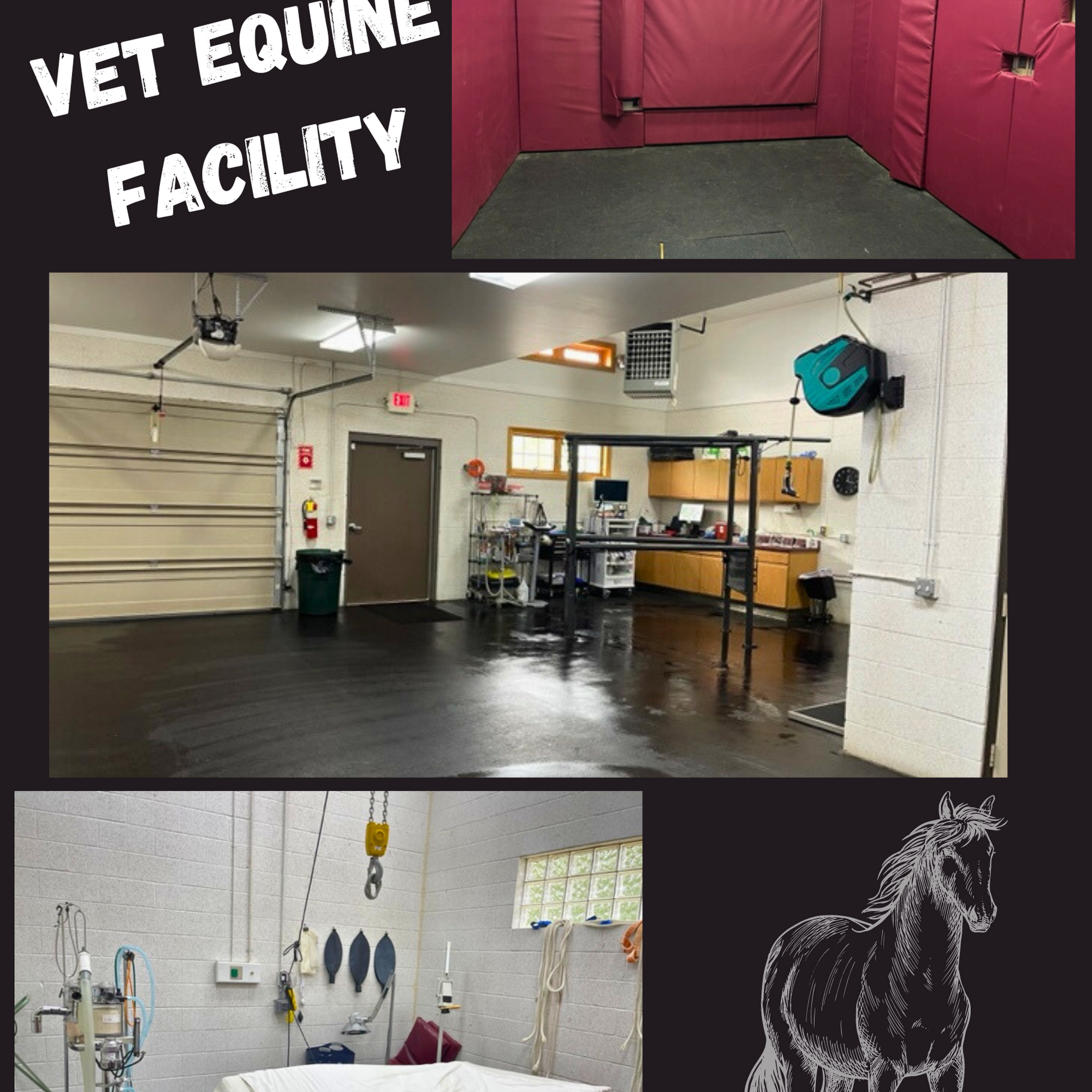 Kern Road Veterinary Clinic Fowlerville