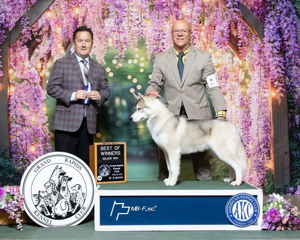 Precision Pet Grooming Boutique Fremont