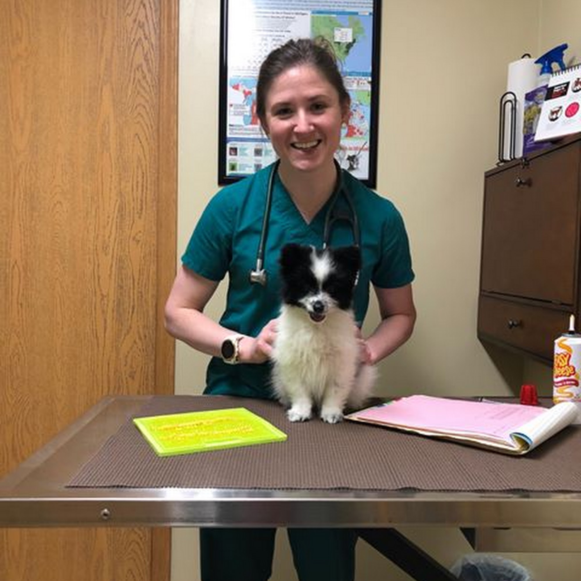 Hall Veterinary Clinic Gaylord