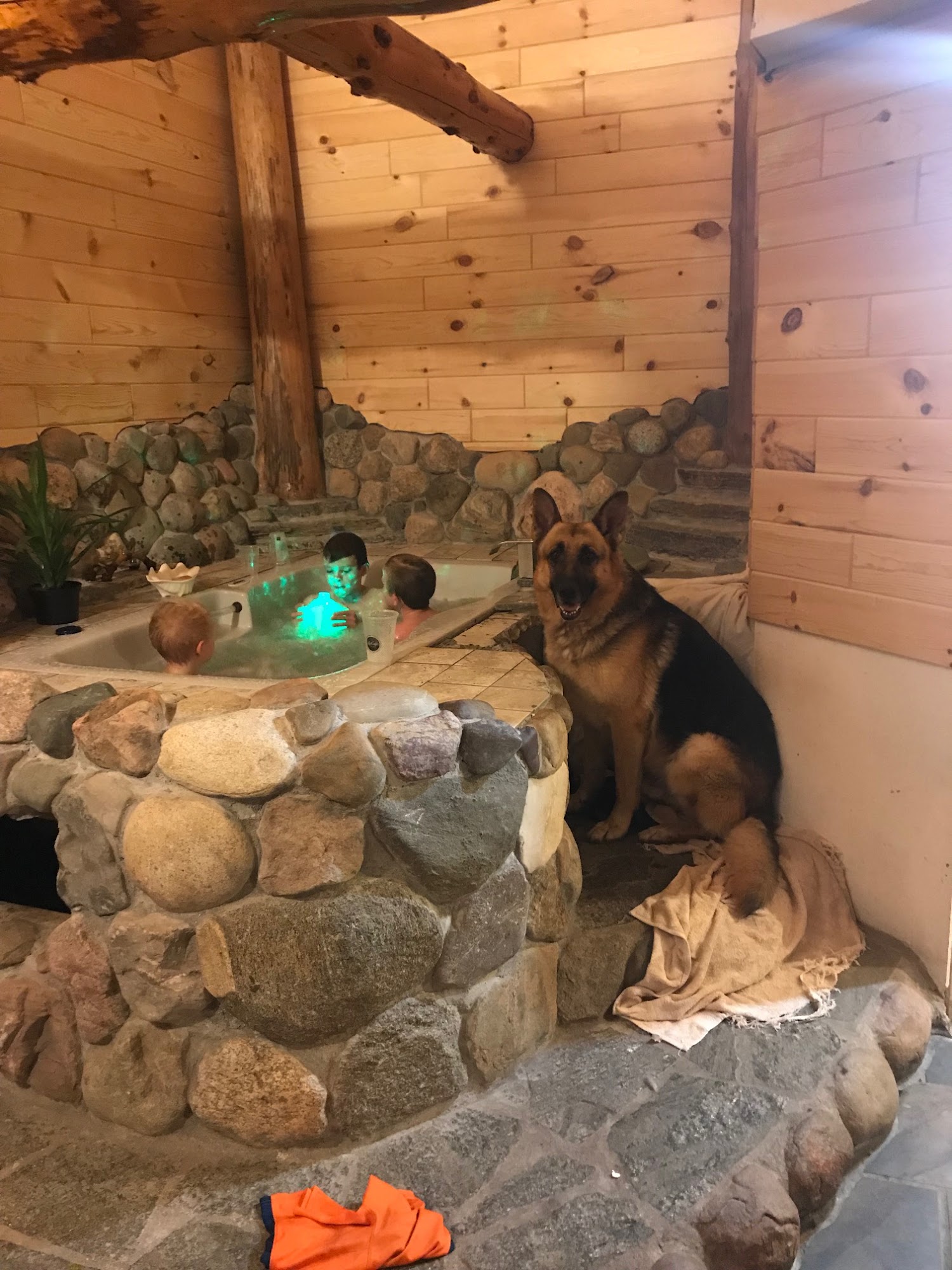 Browning Haus German Shepherds Gaylord