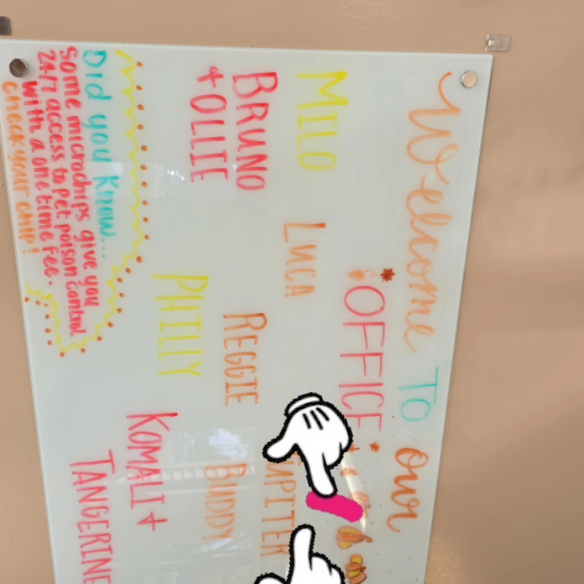 Cottonwood Veterinary Center Georgetown