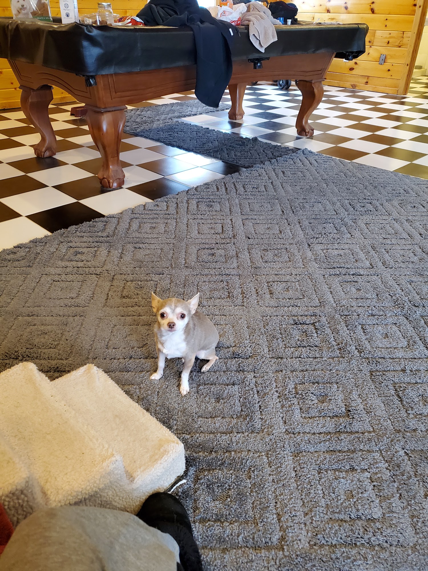 Gladwin Veterinary Clinic Gladwin