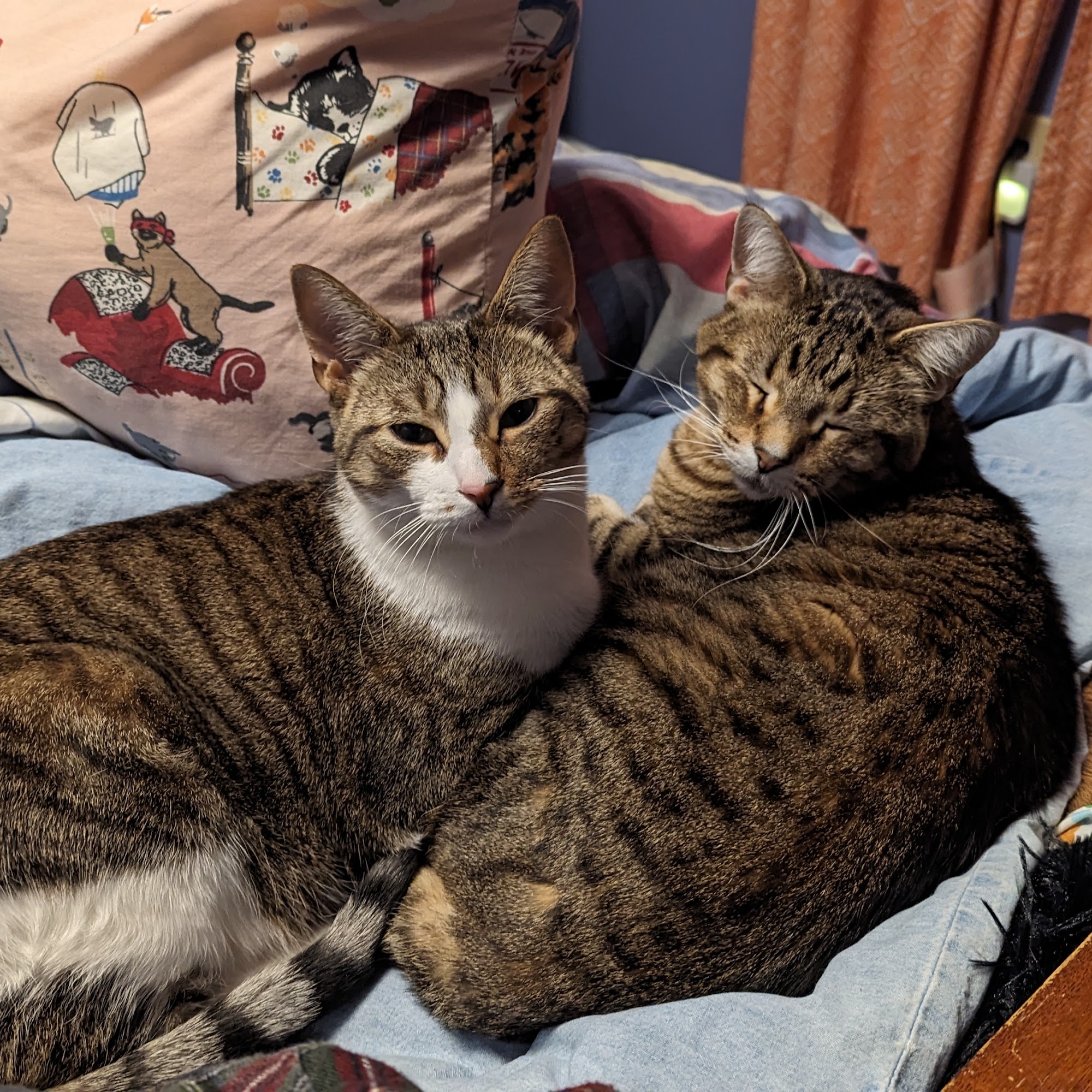 Grand Ledge Veterinary Hospital Grand Ledge