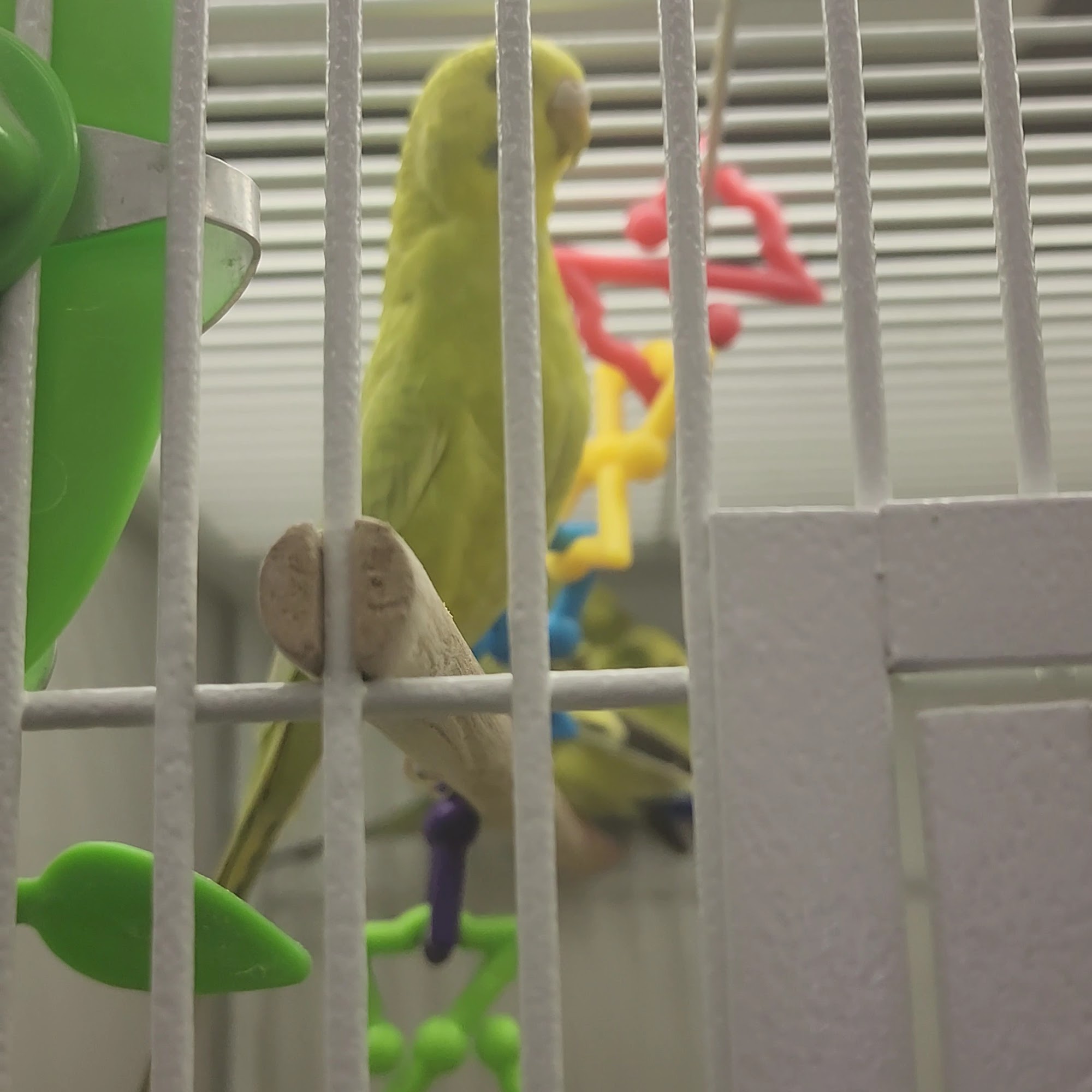 Pet Supplies Plus Woodpointe Grand Rapids