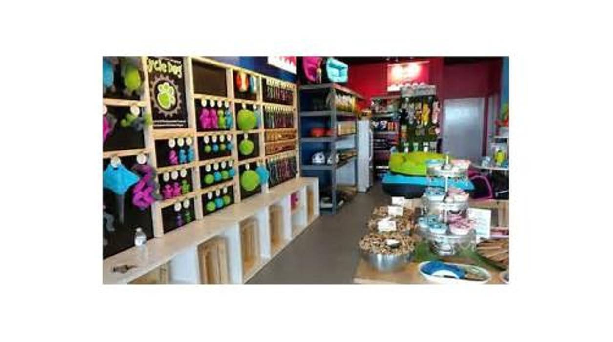 Splash and Dash Groomerie & Boutique Grand Rapids