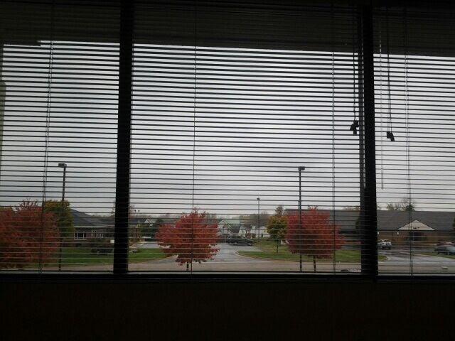 Dentistry at the Springs