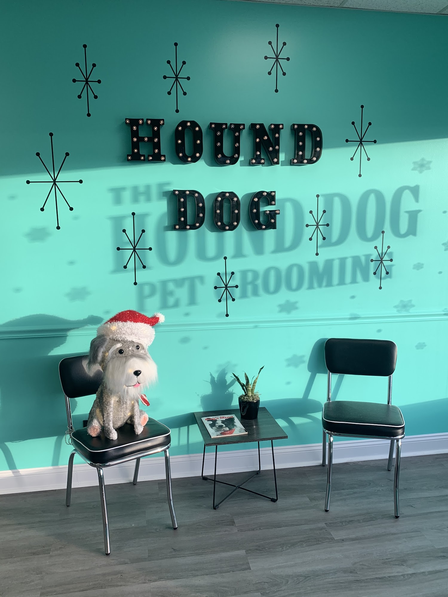 The Hound Dog Pet Grooming Grand Rapids