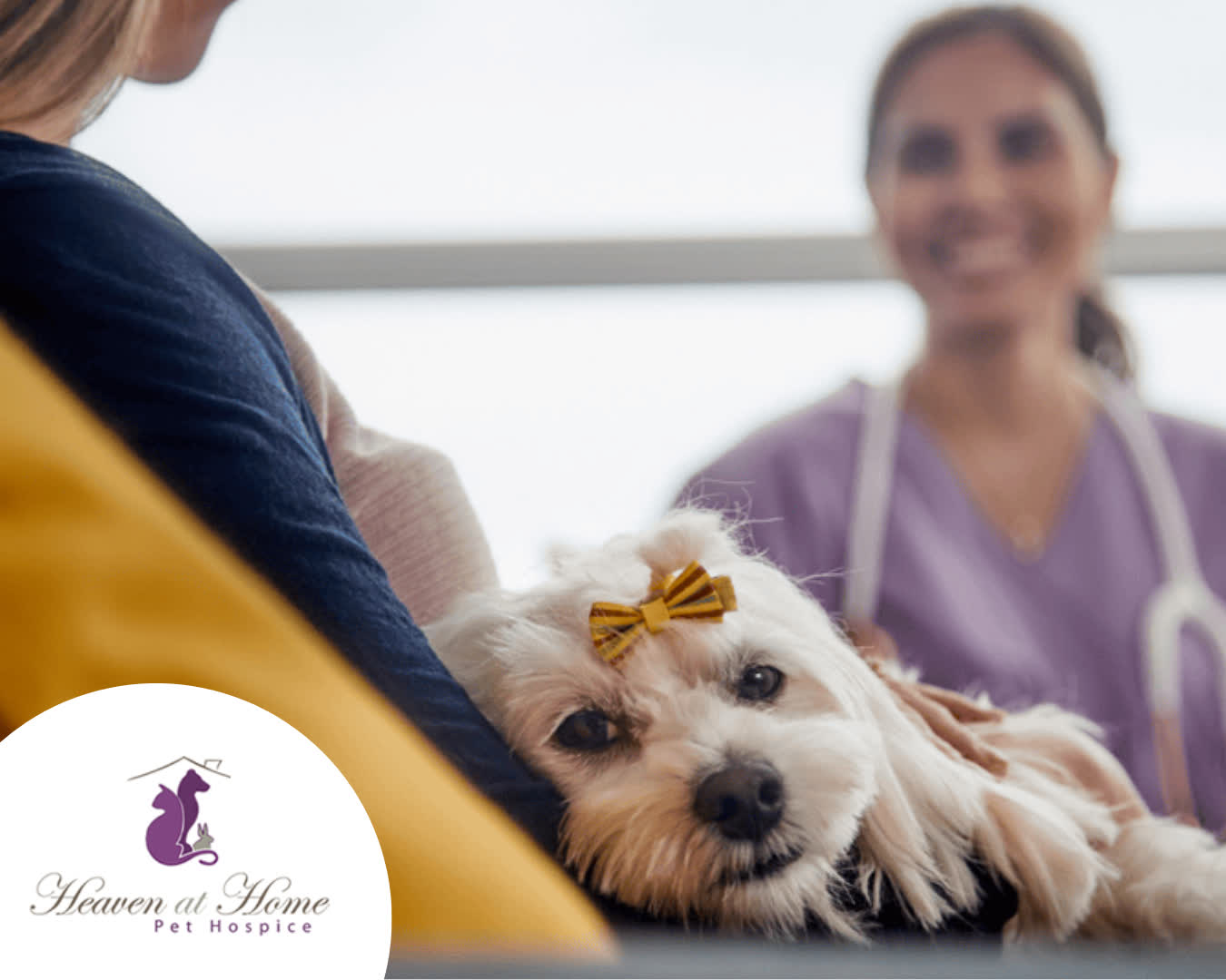 Heaven At Home Pet Hospice Grand Rapids