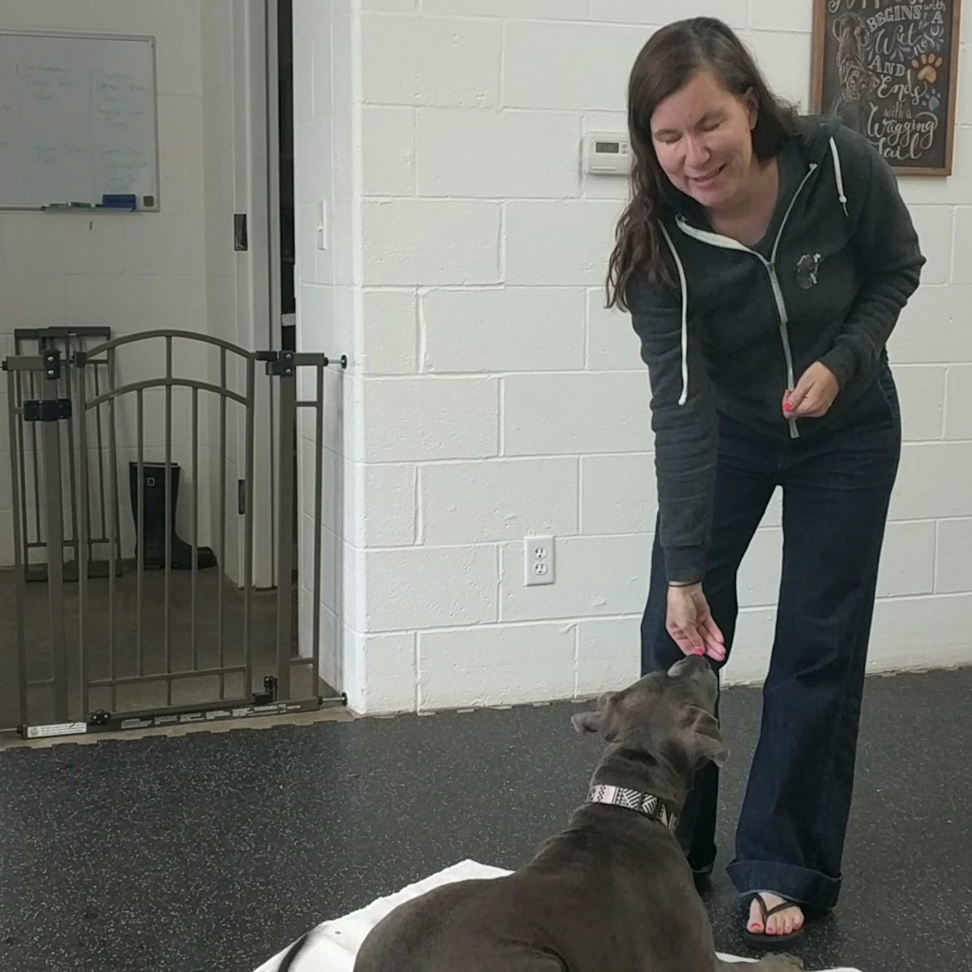 A Pleasant Dog Grand Rapids