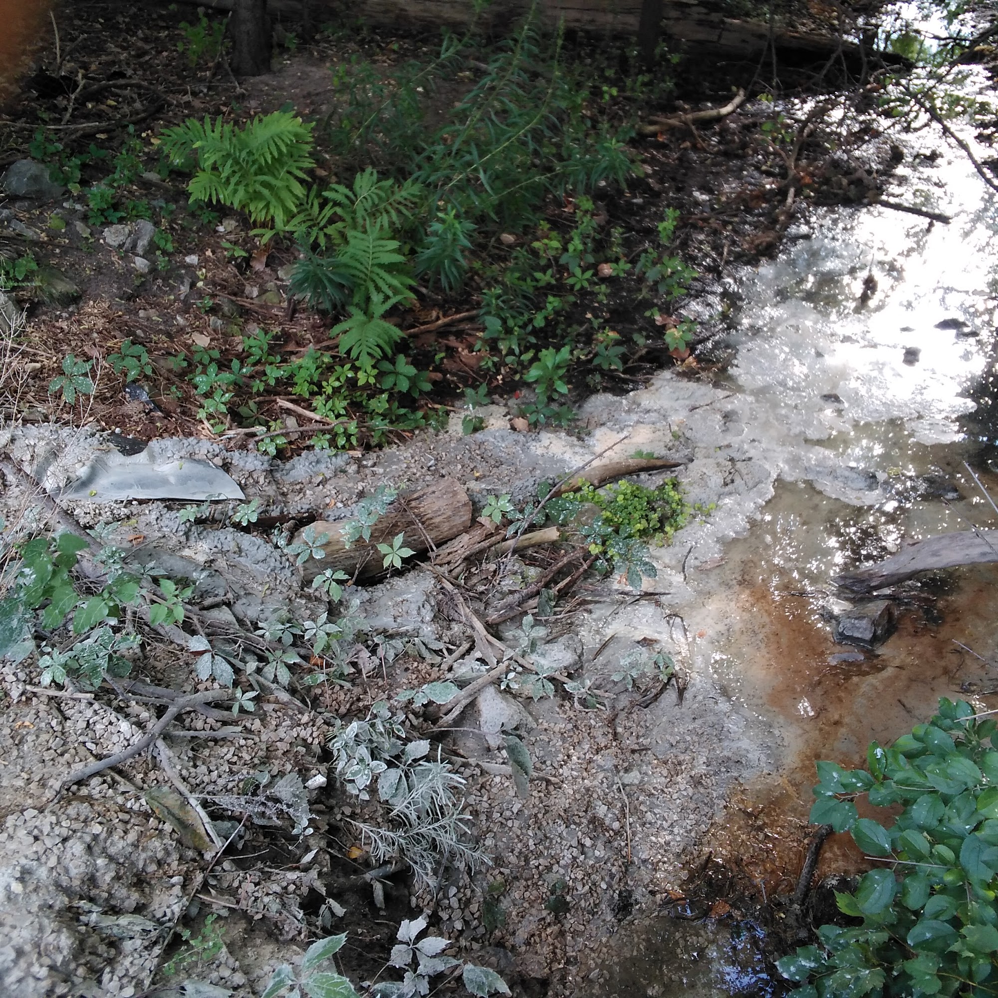 Ellis & Sons Construction LLC