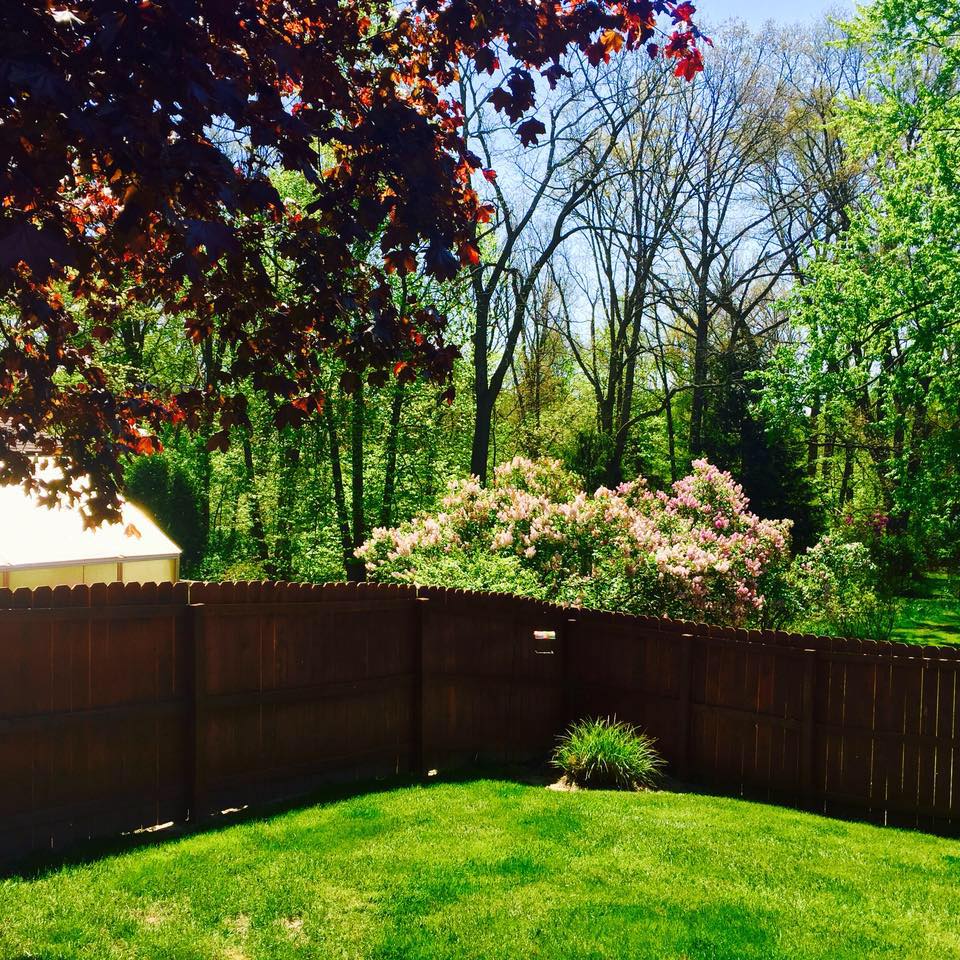 Jay's Lawn Care and snowplowing