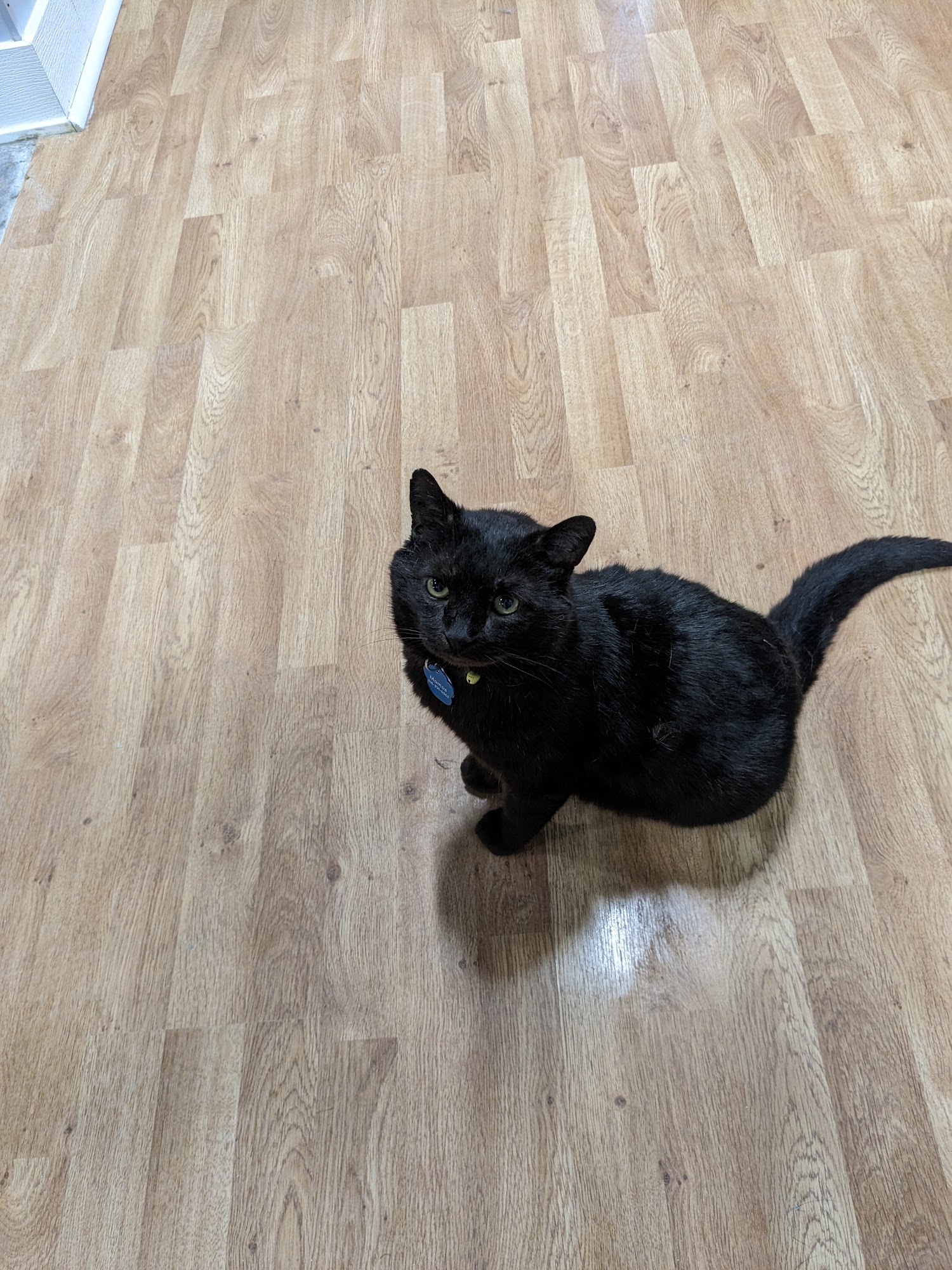 Crash's Landing Grand Rapids