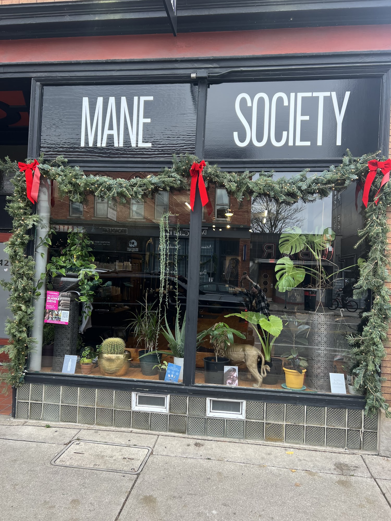 Mane Society 444 Bridge St NW, Grand Rapids Michigan 49504