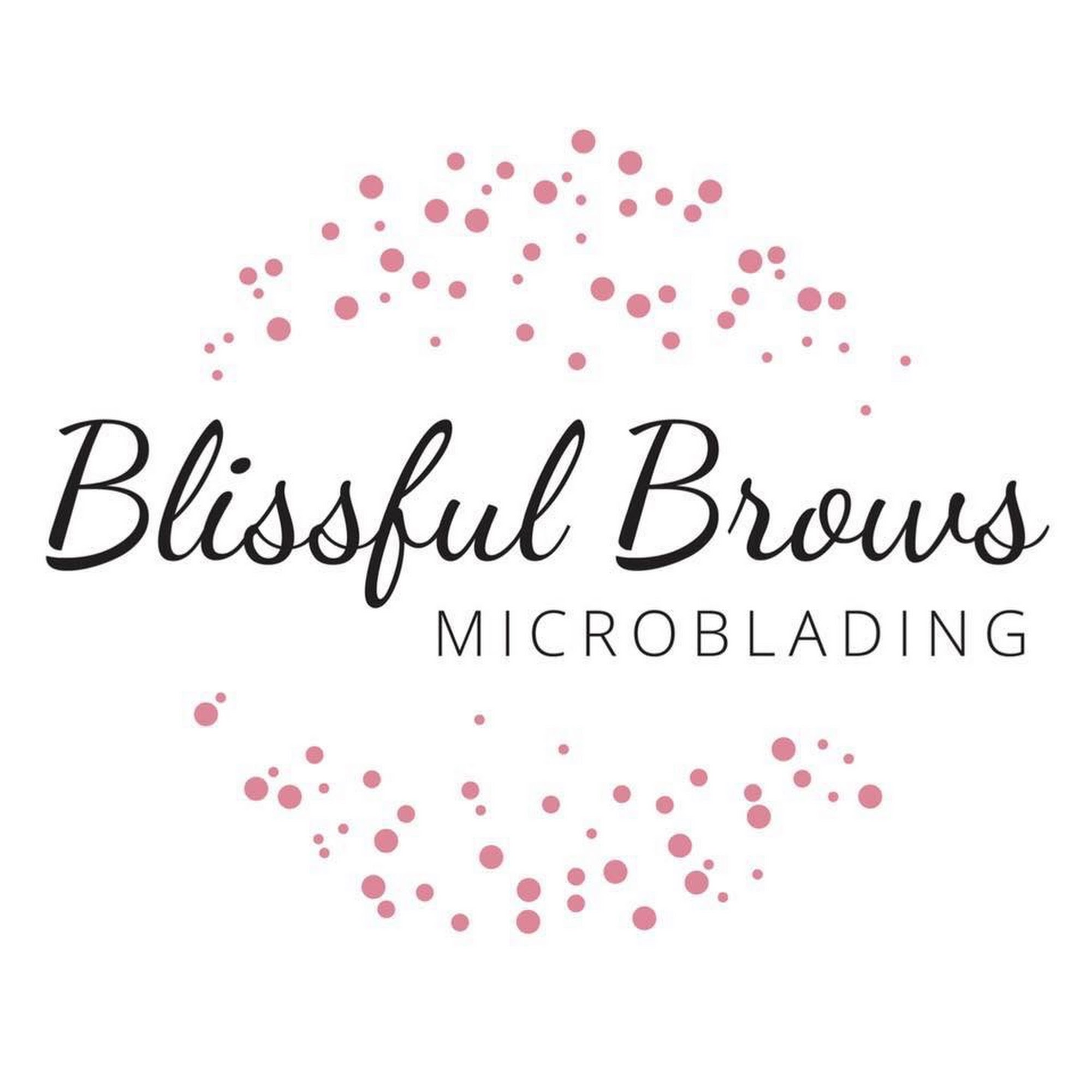 Blissful Brows Llc 4300 Plainfield Ave NE, Grand Rapids Michigan 49525