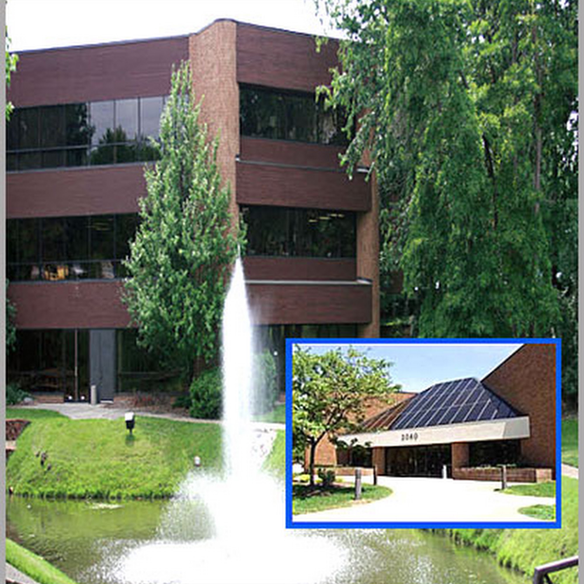 Blue Heron Academy 2040 Raybrook St SE, Grand Rapids Michigan 49546
