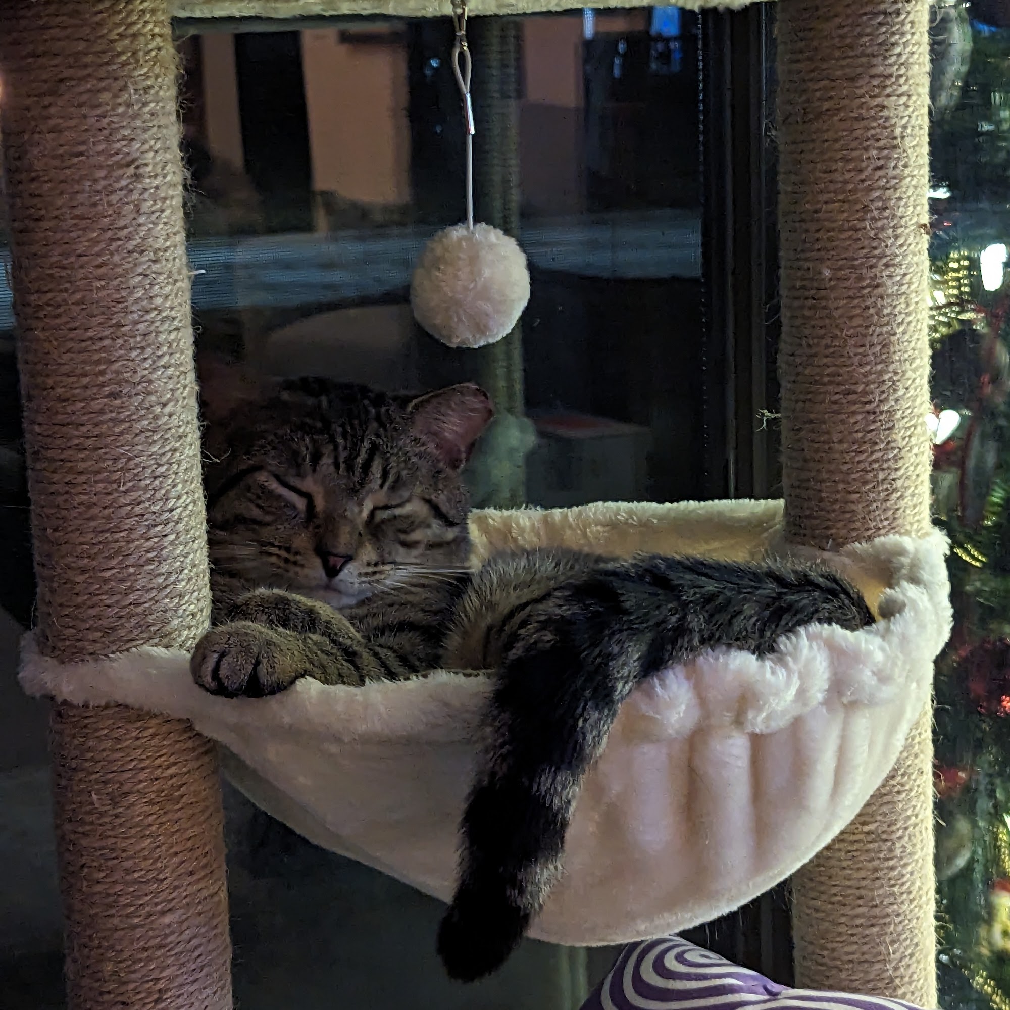 Pet Veterinary Clinic PC Grandville