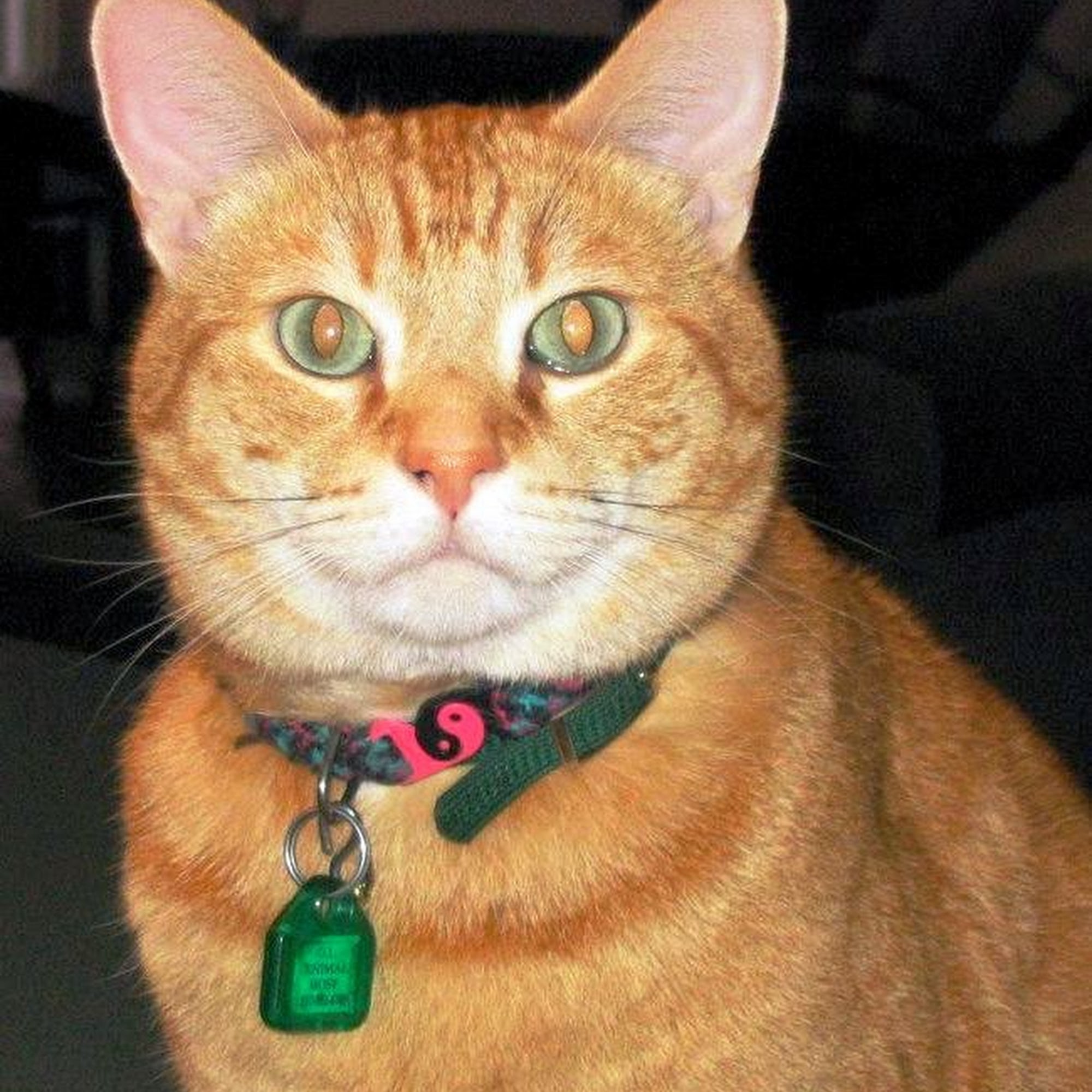 Grass Lake Animal Hospital Grass Lake