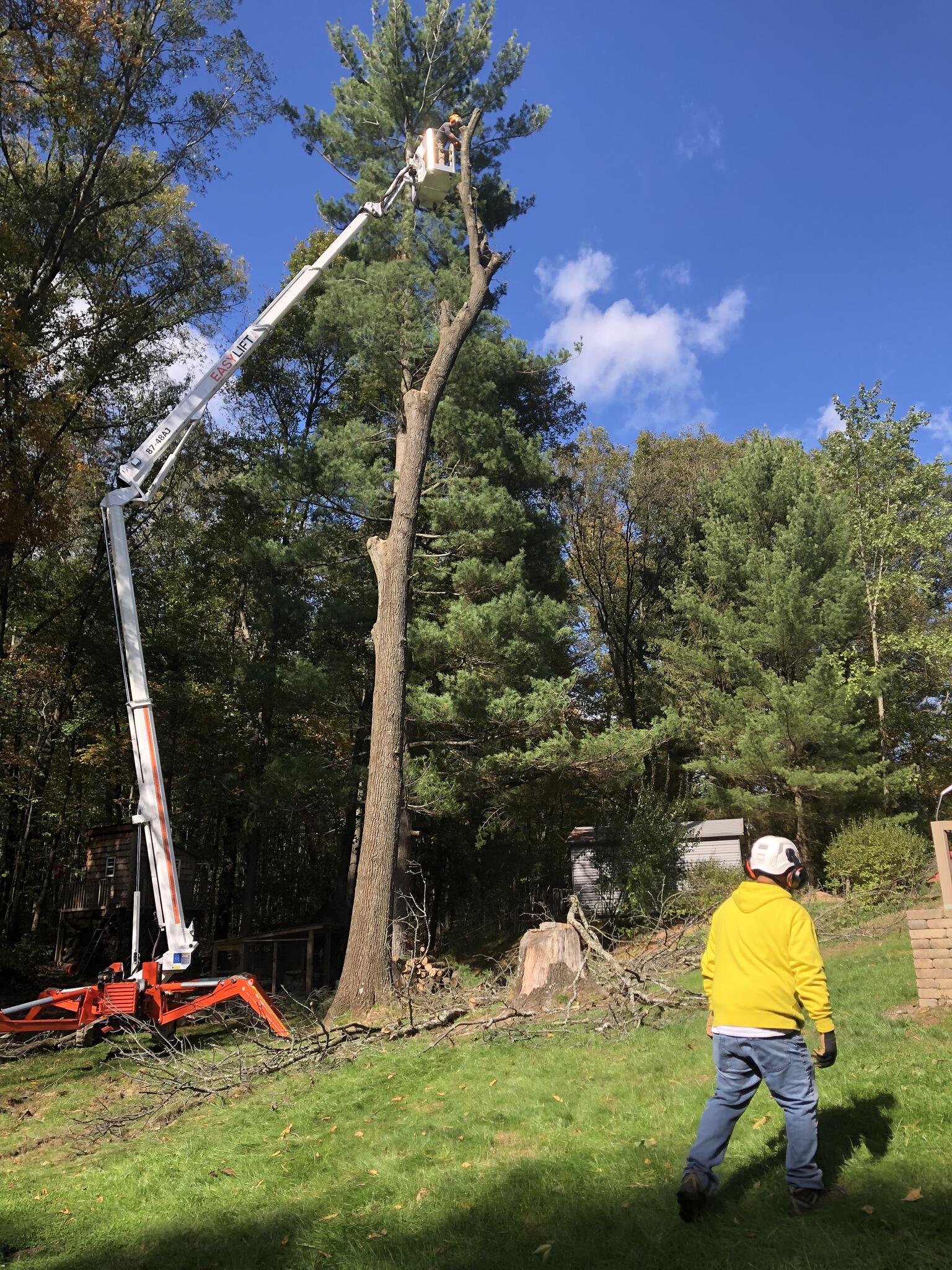 Photo credit: nextdoor