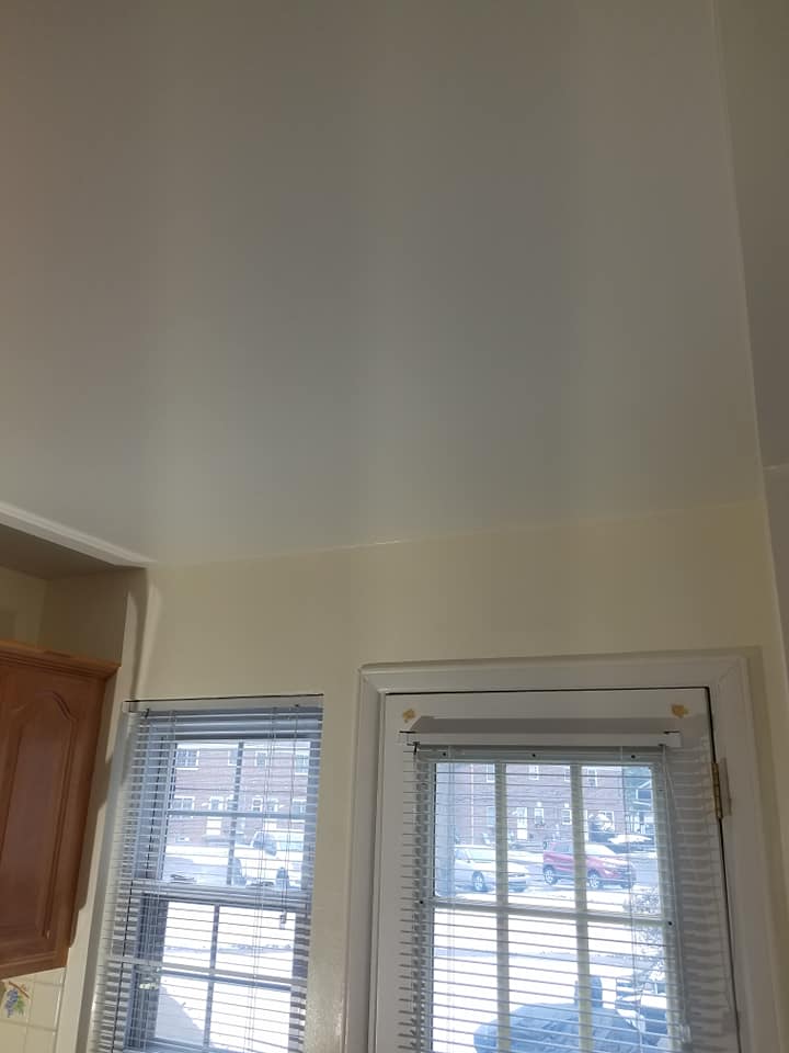 Specialty Painting & Plaster