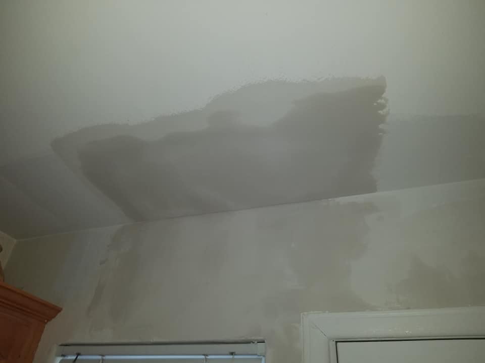 Specialty Painting & Plaster