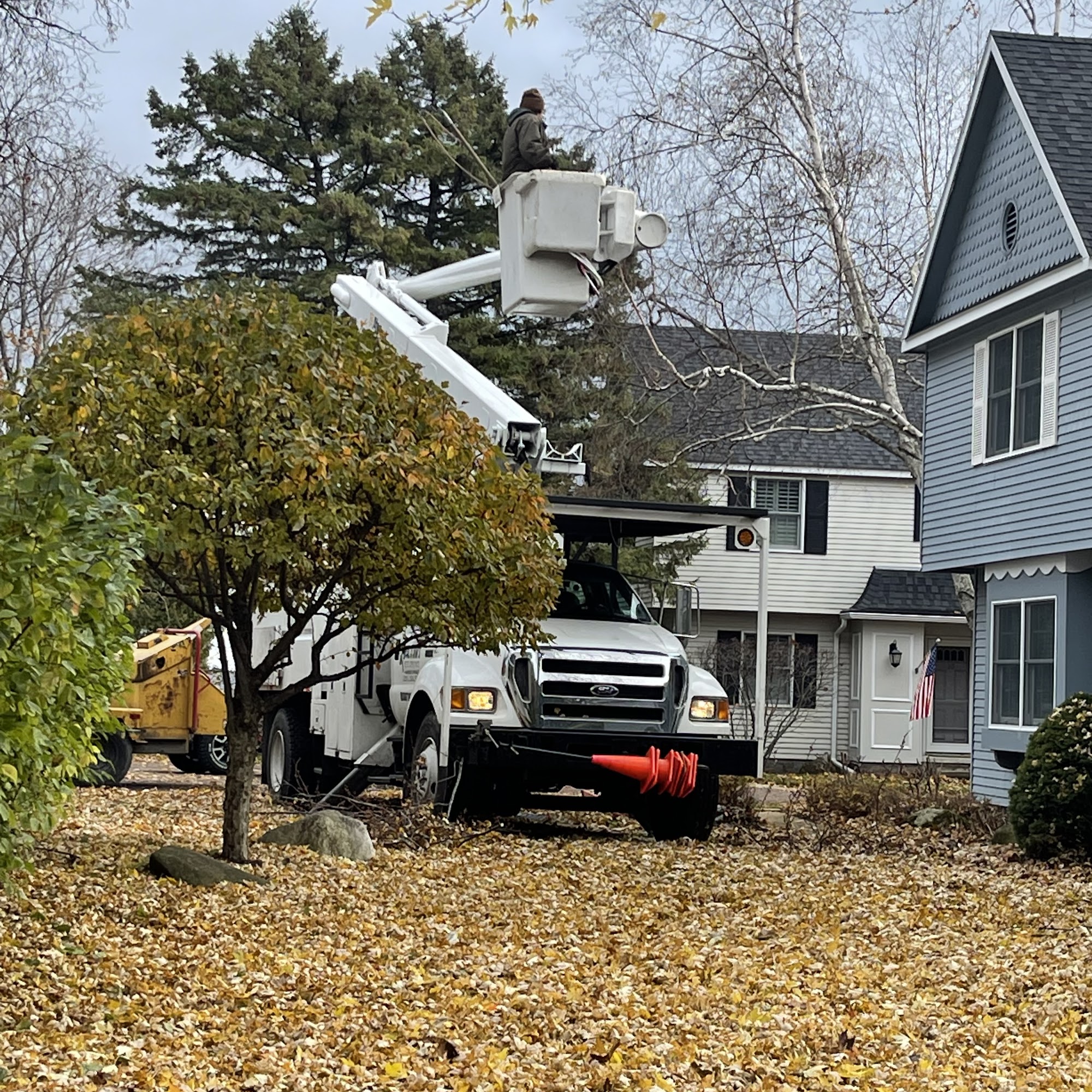 Al & Jim's Tree Services