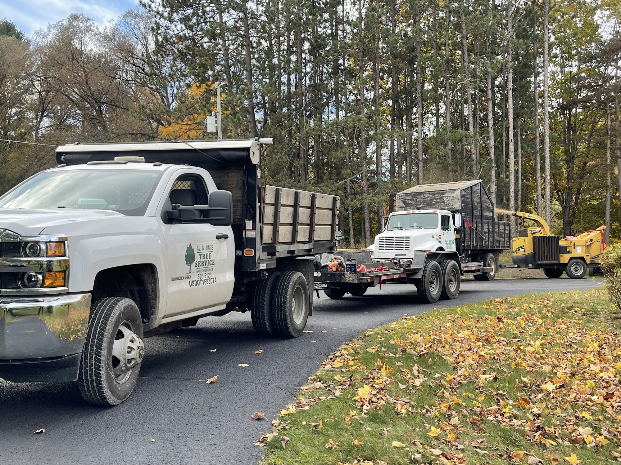 Al & Jim's Tree Services