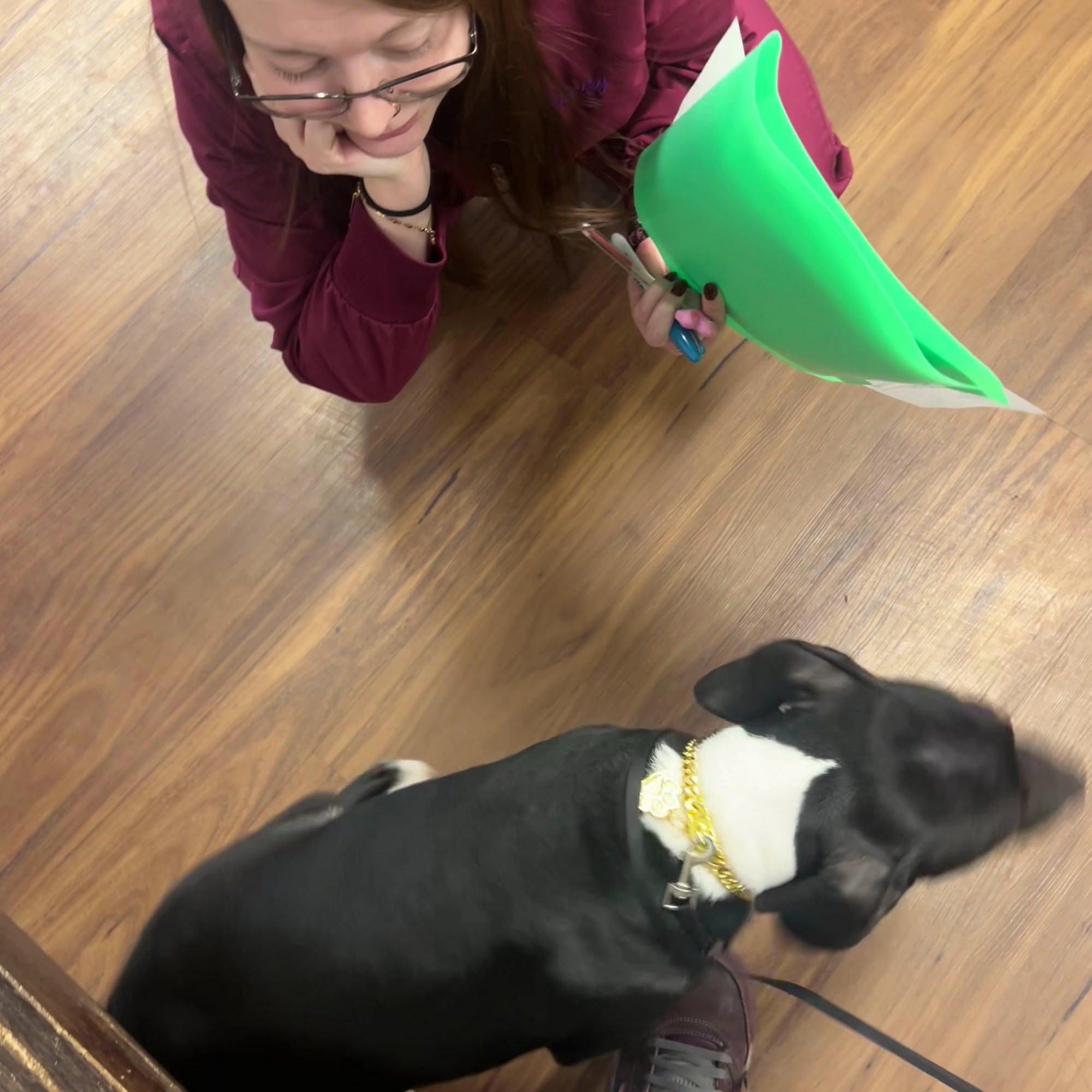 Harper Woods Veterinary Hospital Harper Woods