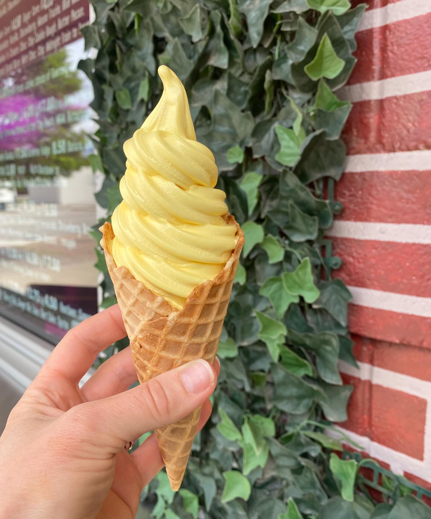 Doug's Delight Hazel Park