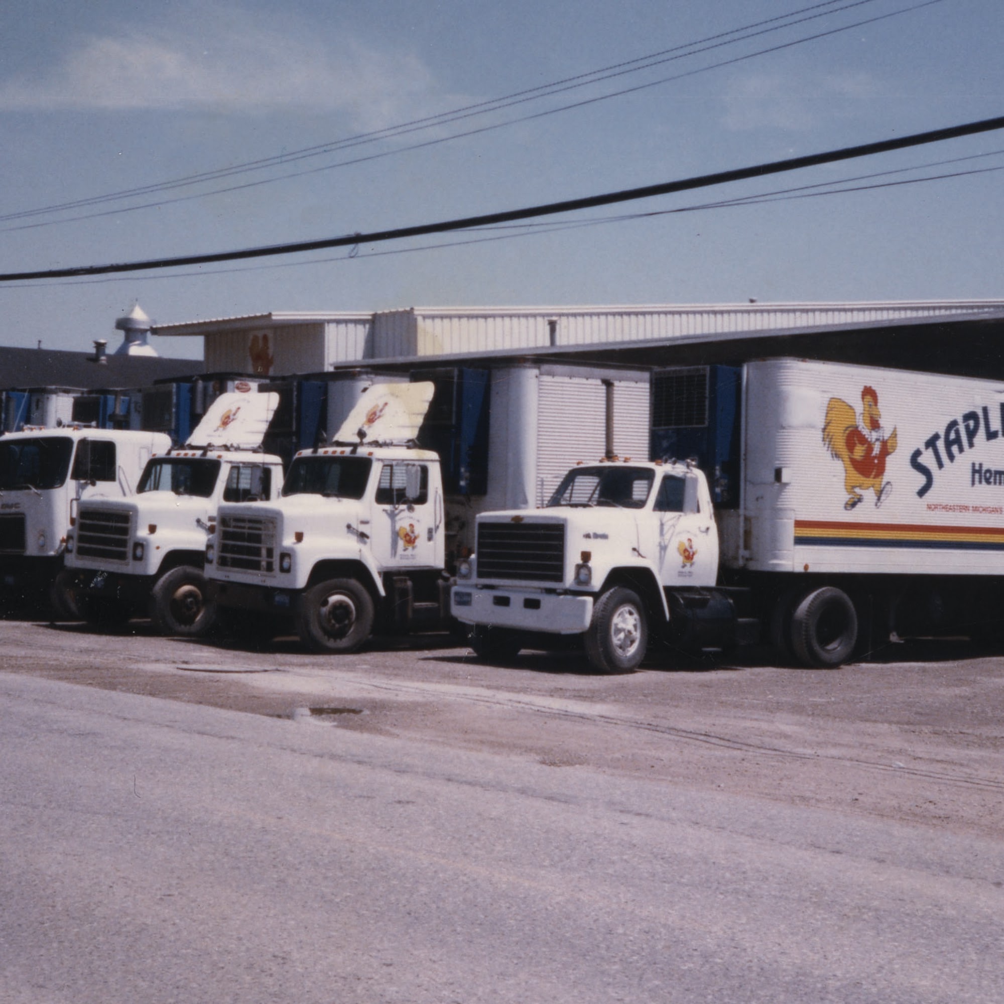 Stapleton Inc Hemlock