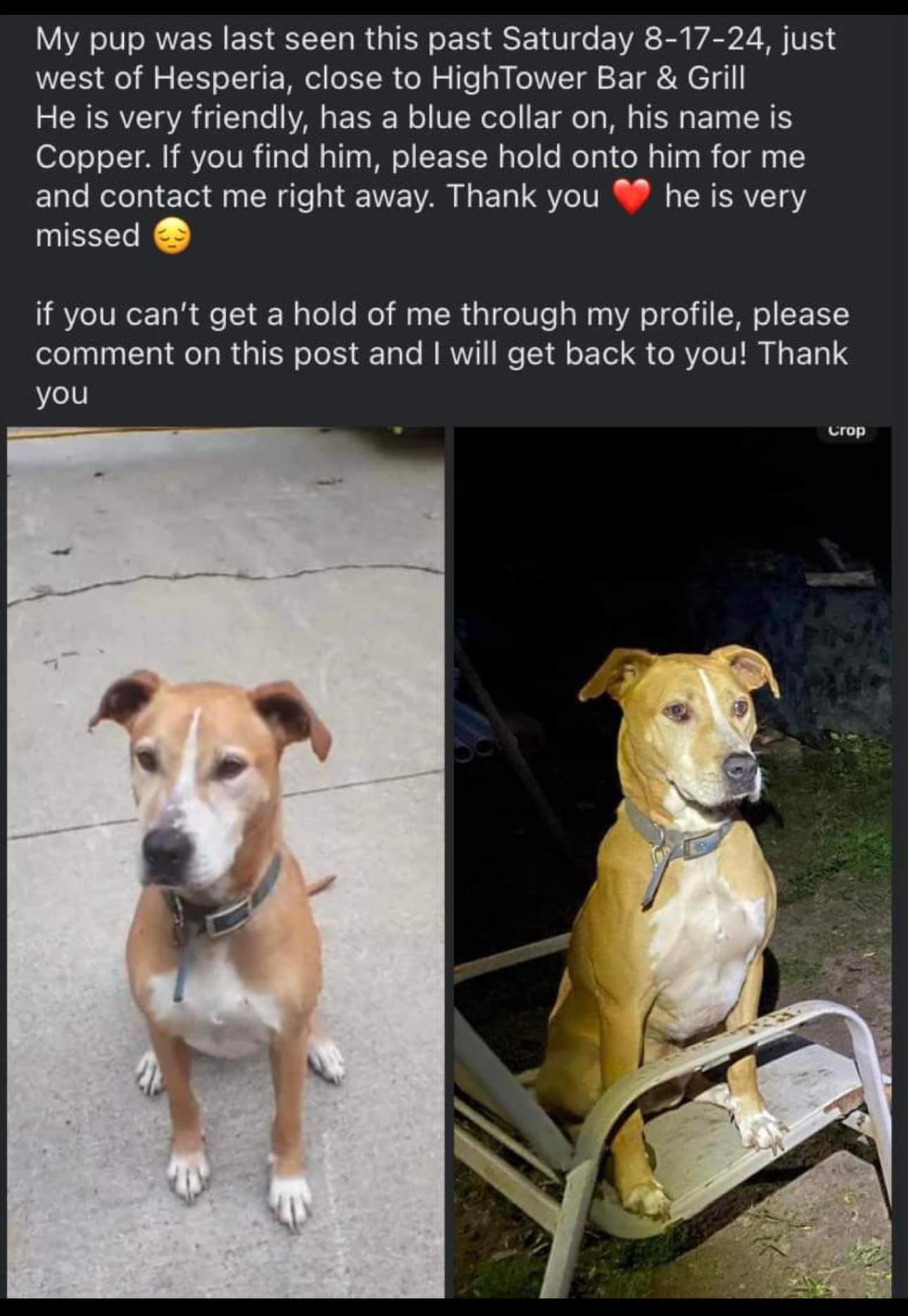 Photo credit: facebook